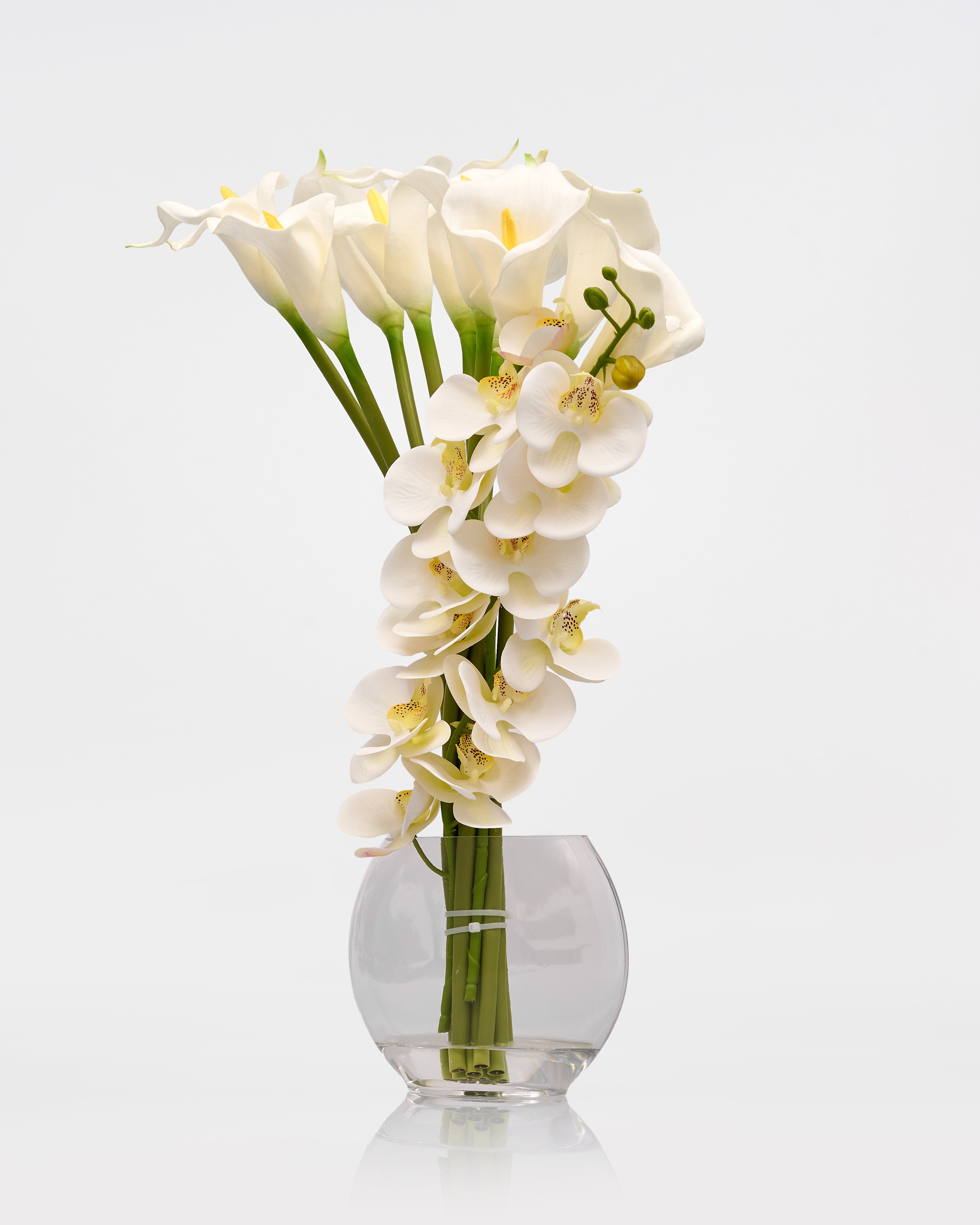 Clear glass vase with white flowers on a white background