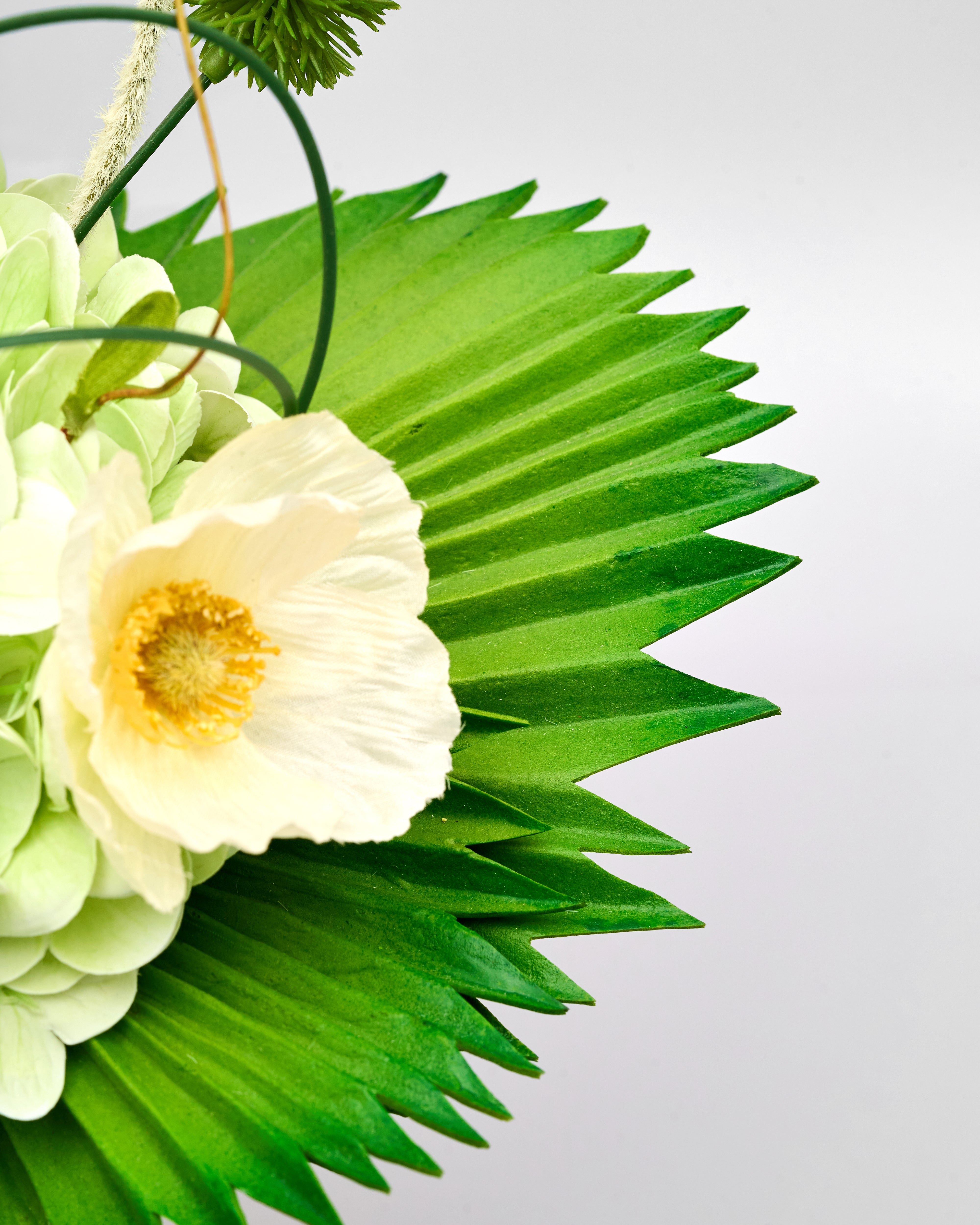 Close-up of a white flower with green leaves on a light gray background