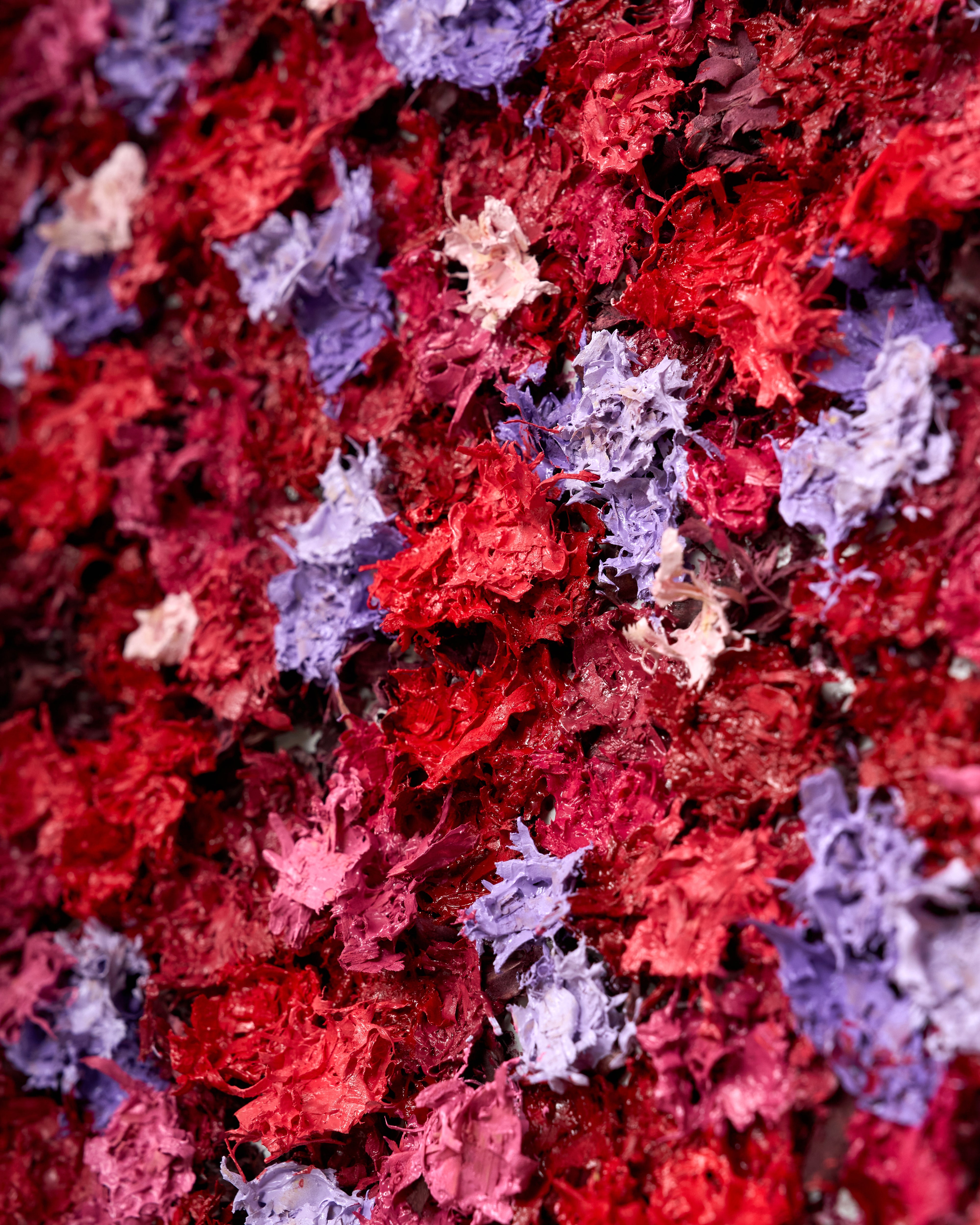 Petals of Elegance - Floral Blossom Artwork Wallart