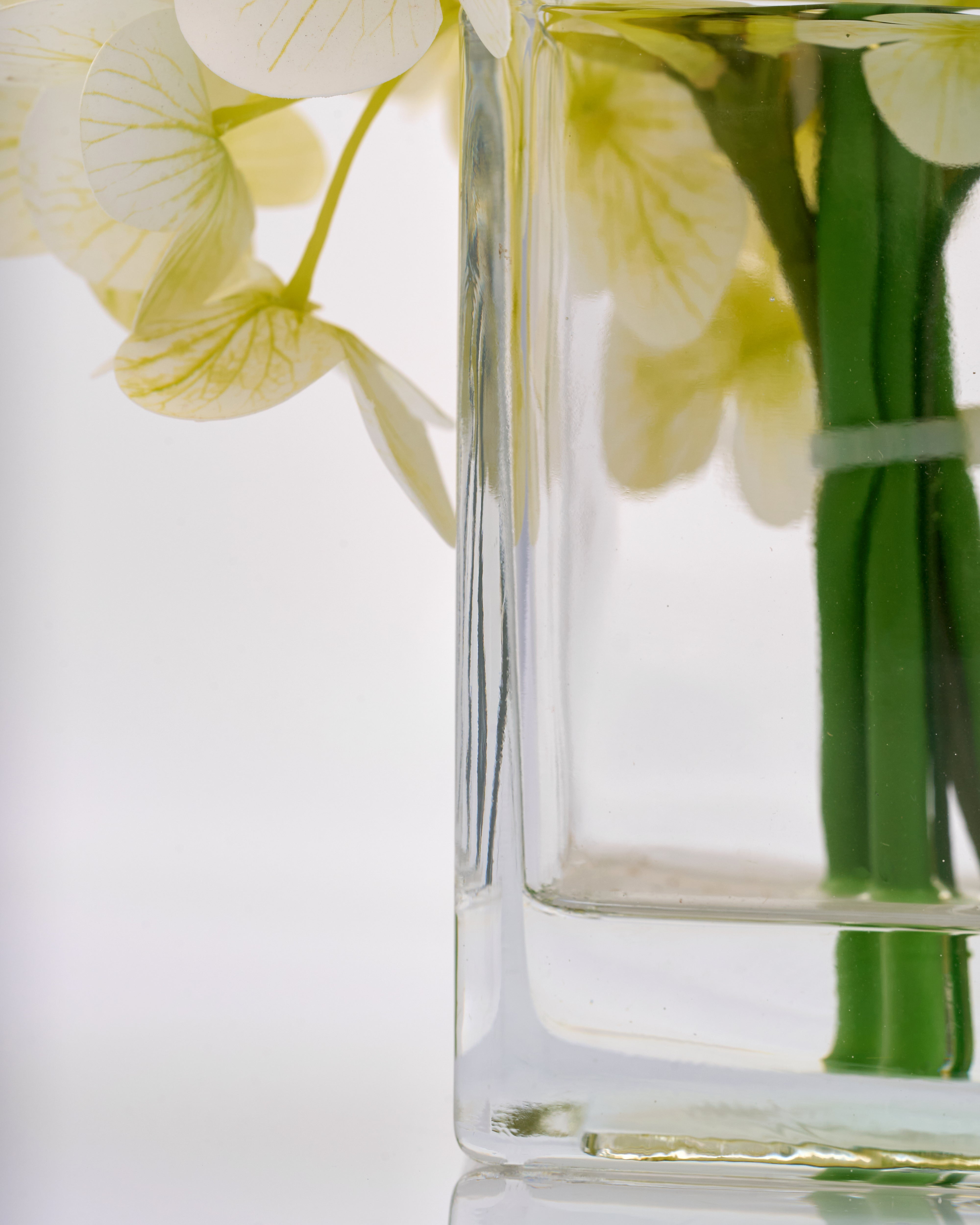 Clear glass vase with white flowers on a light background