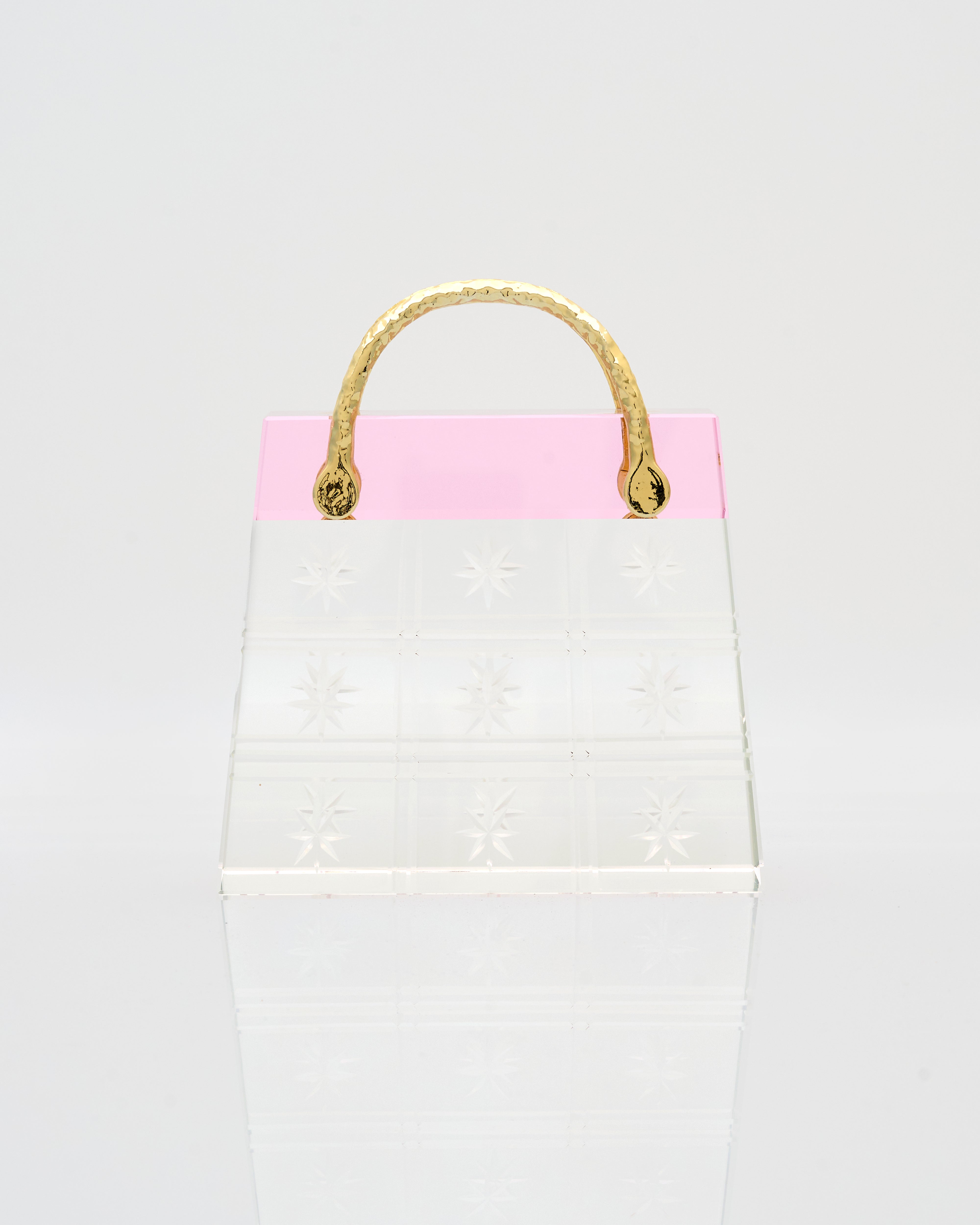 Transparent Vegan Bag