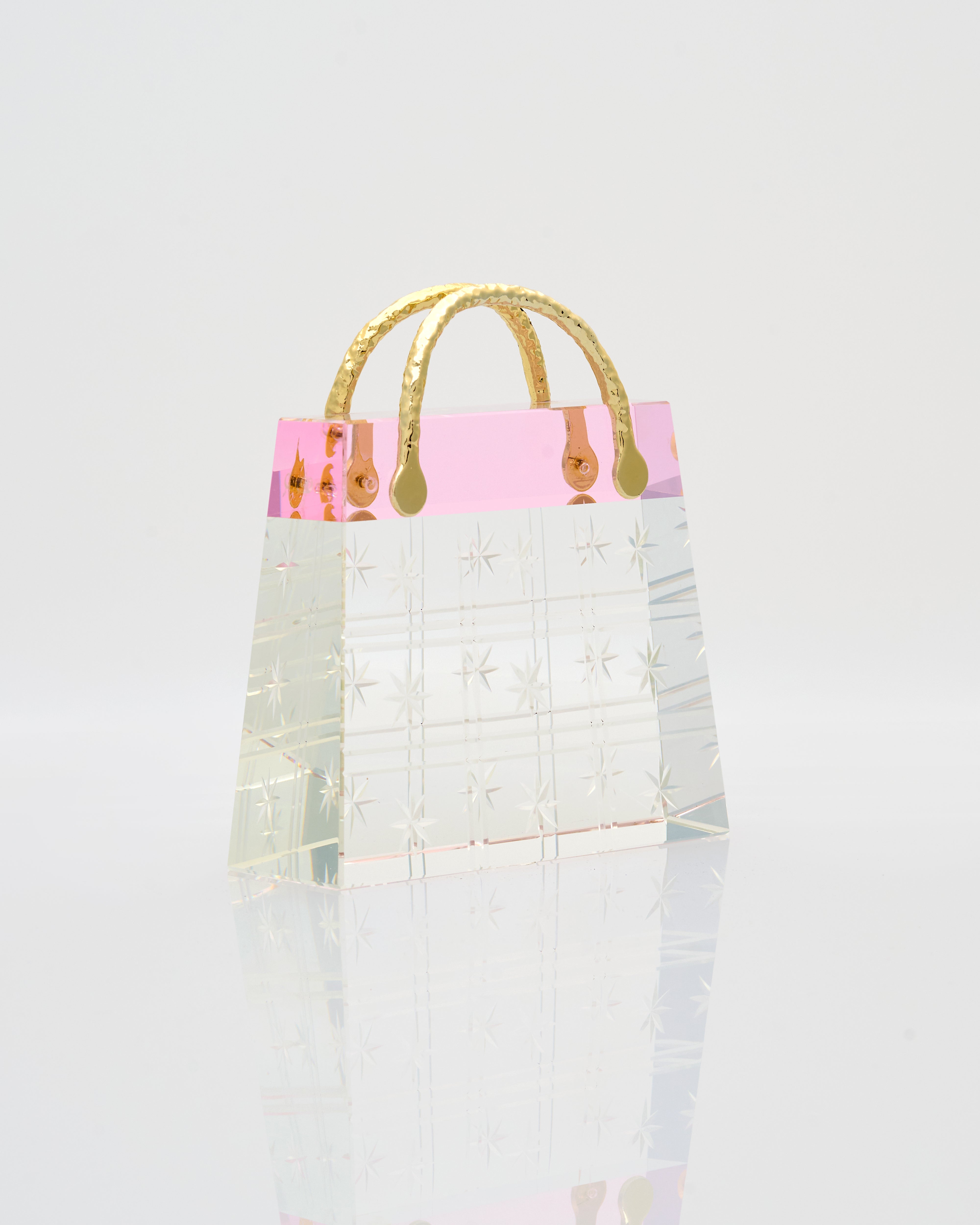 Transparent Vegan Bag