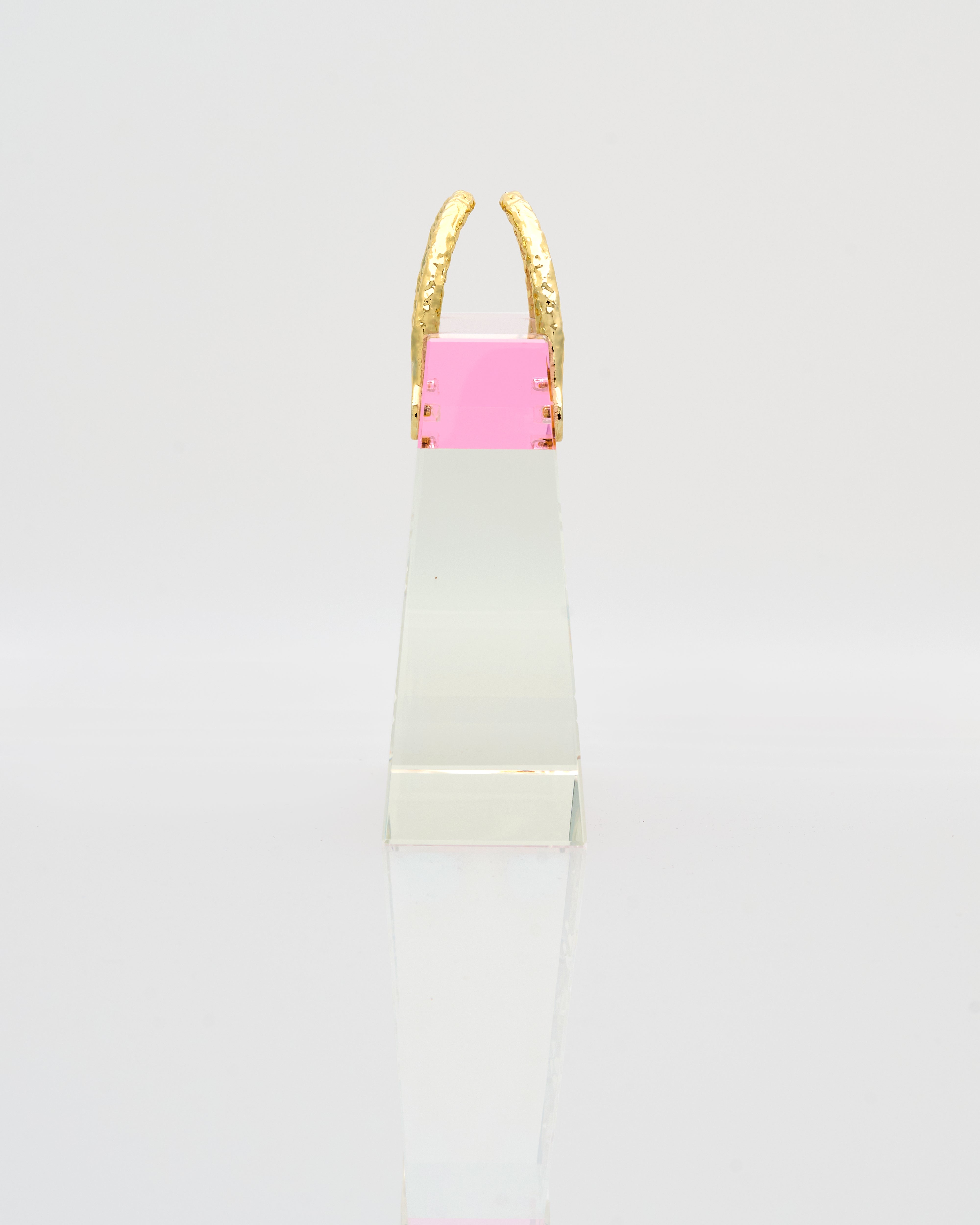 Transparent Vegan Bag