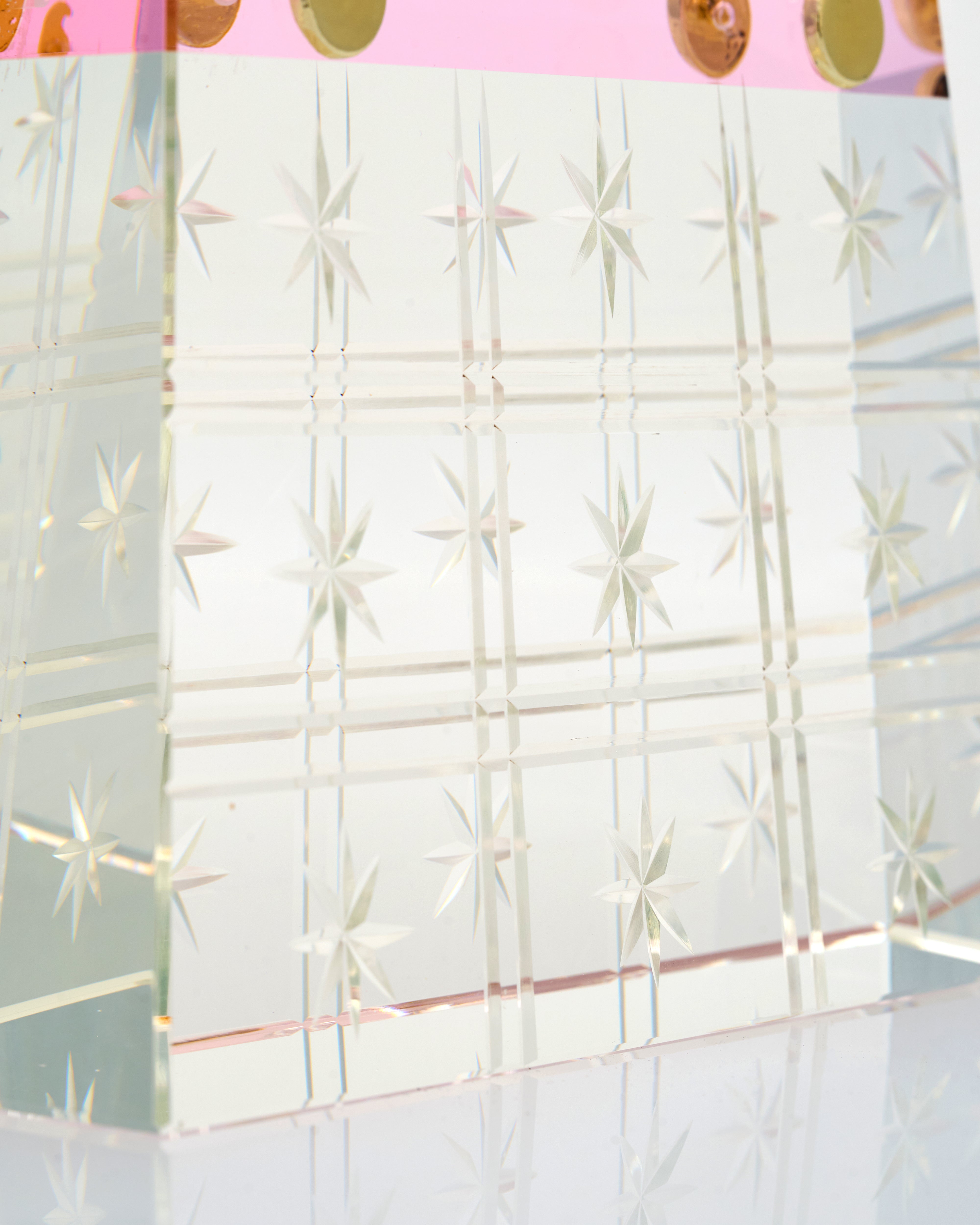 Transparent Vegan Bag