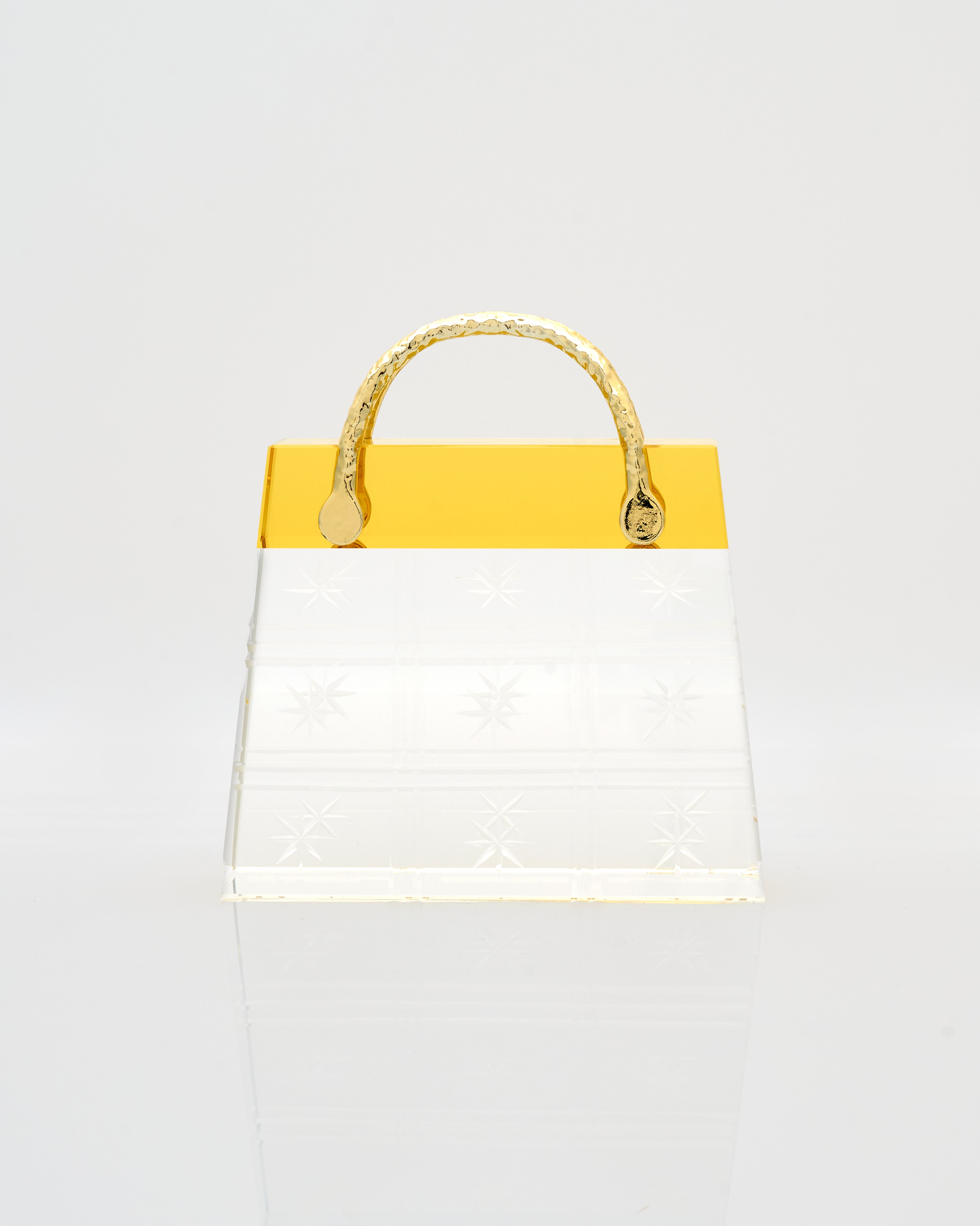 Transparent Vegan Bag