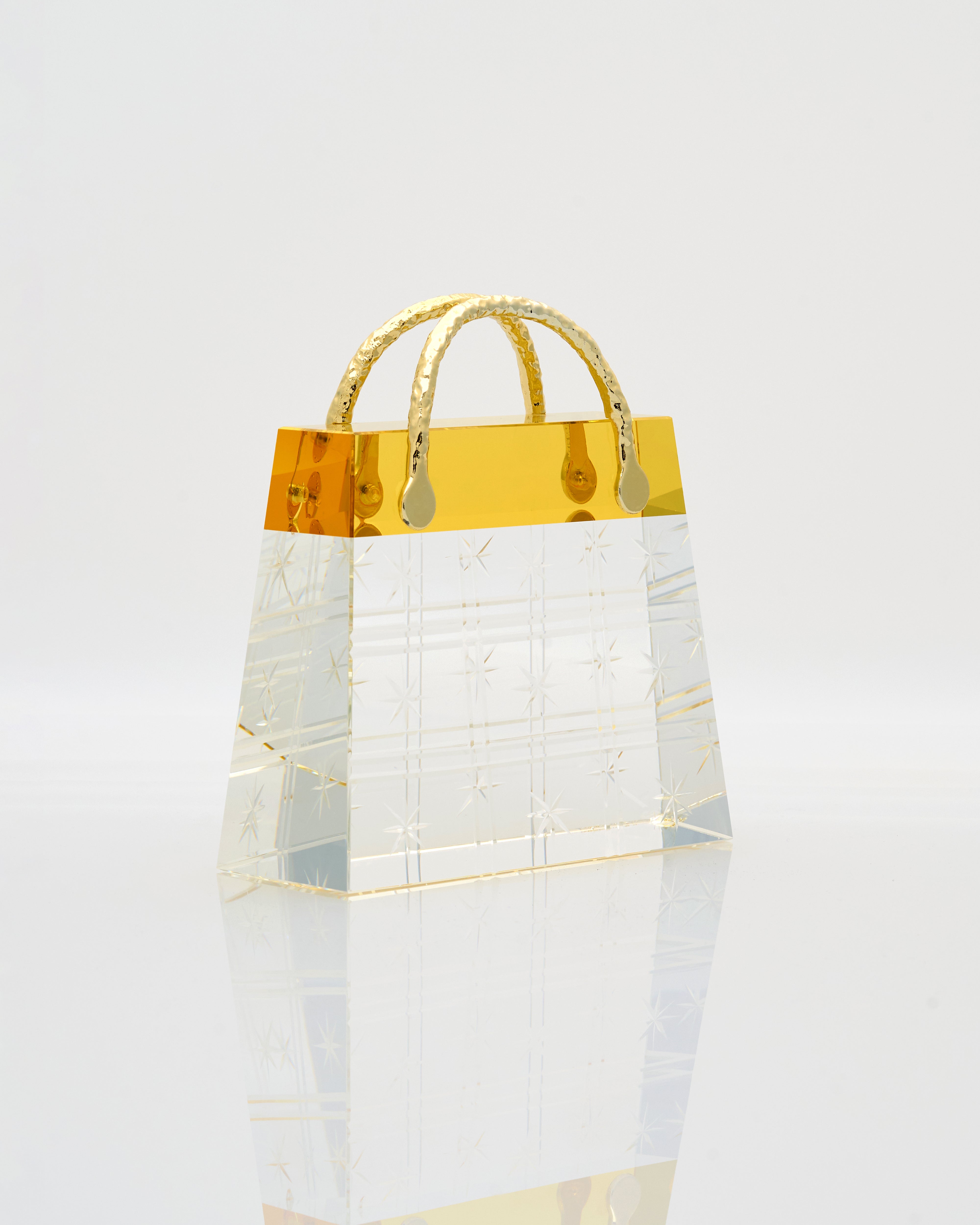 Transparent Vegan Bag