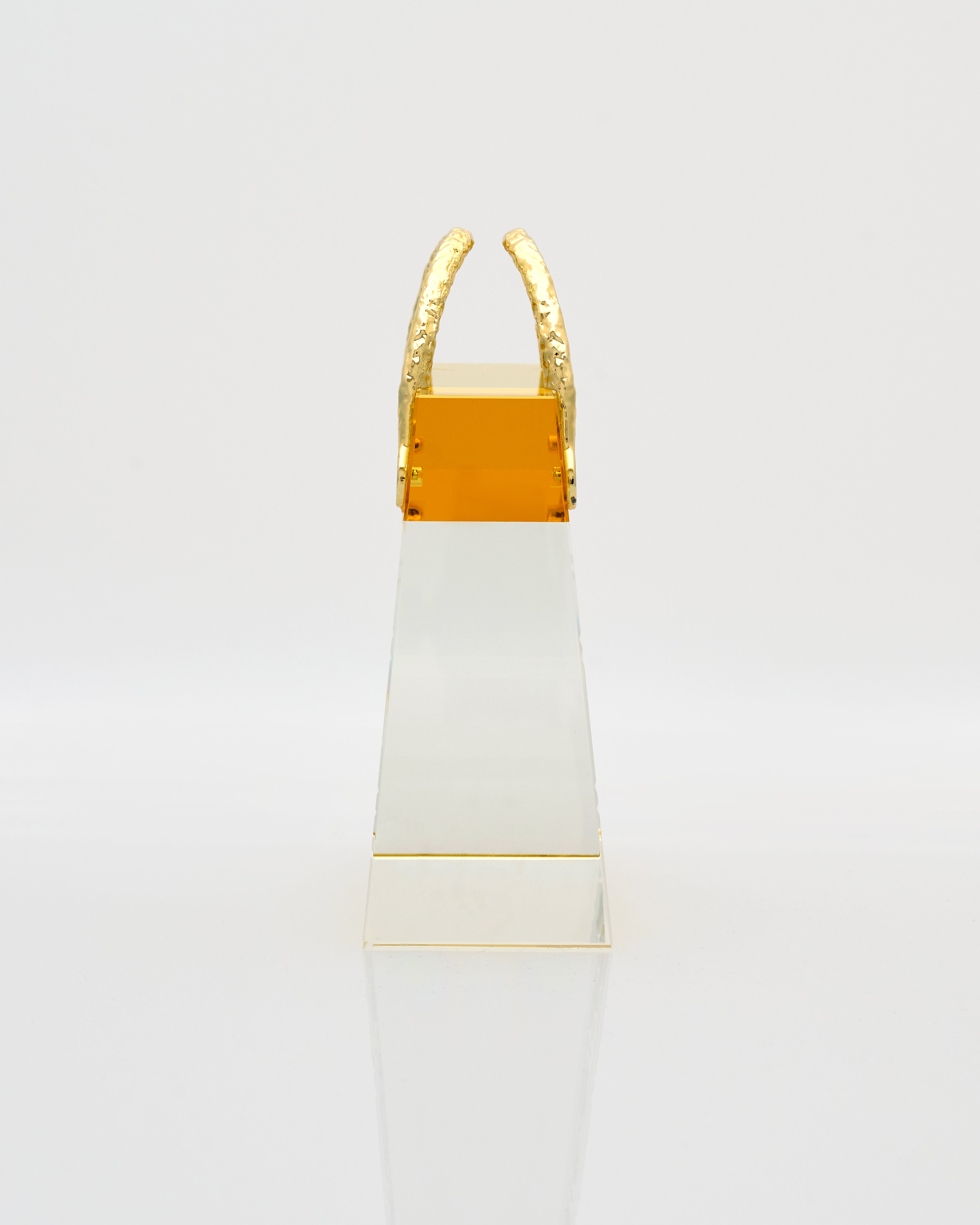 Transparent Vegan Bag