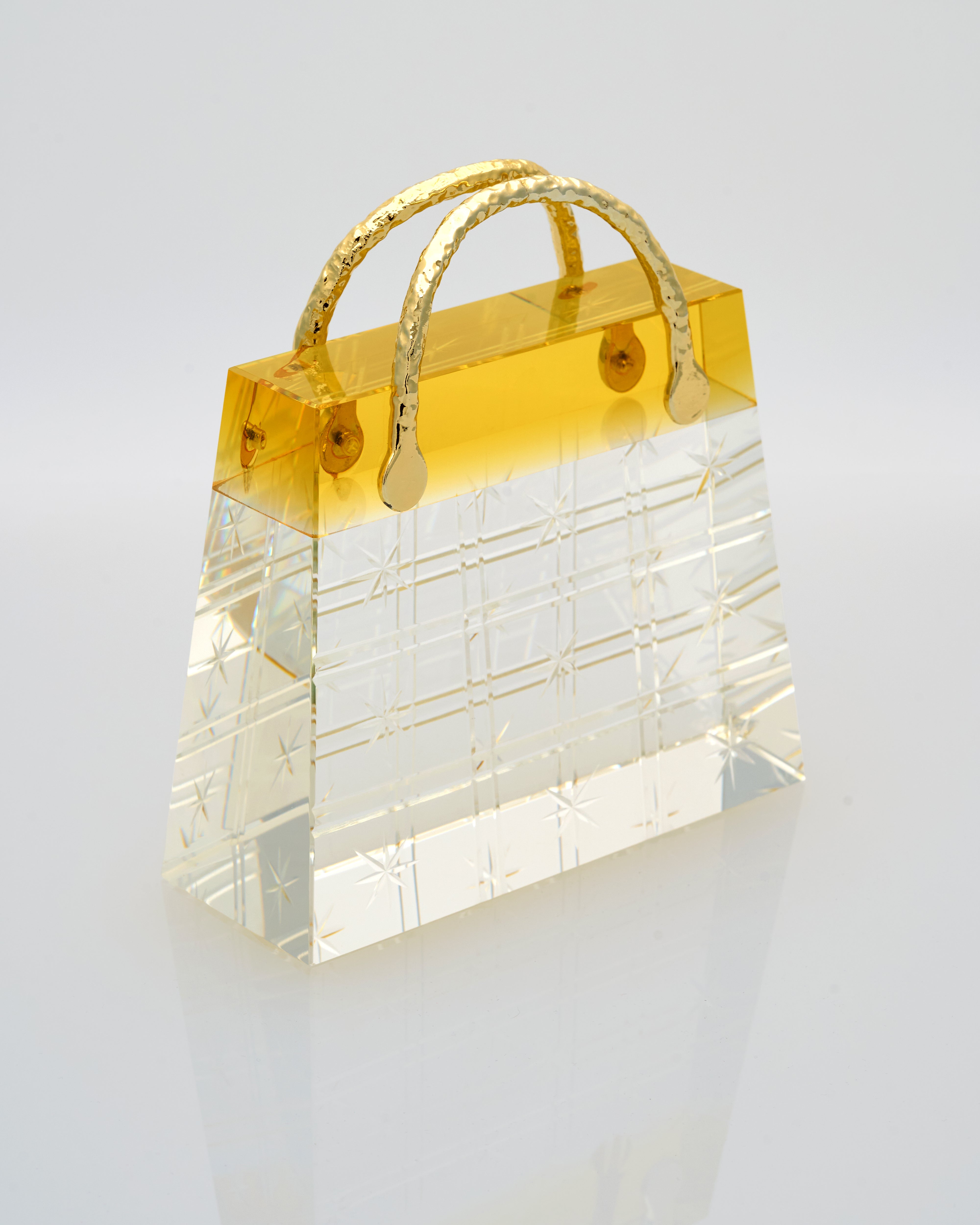 Transparent Vegan Bag