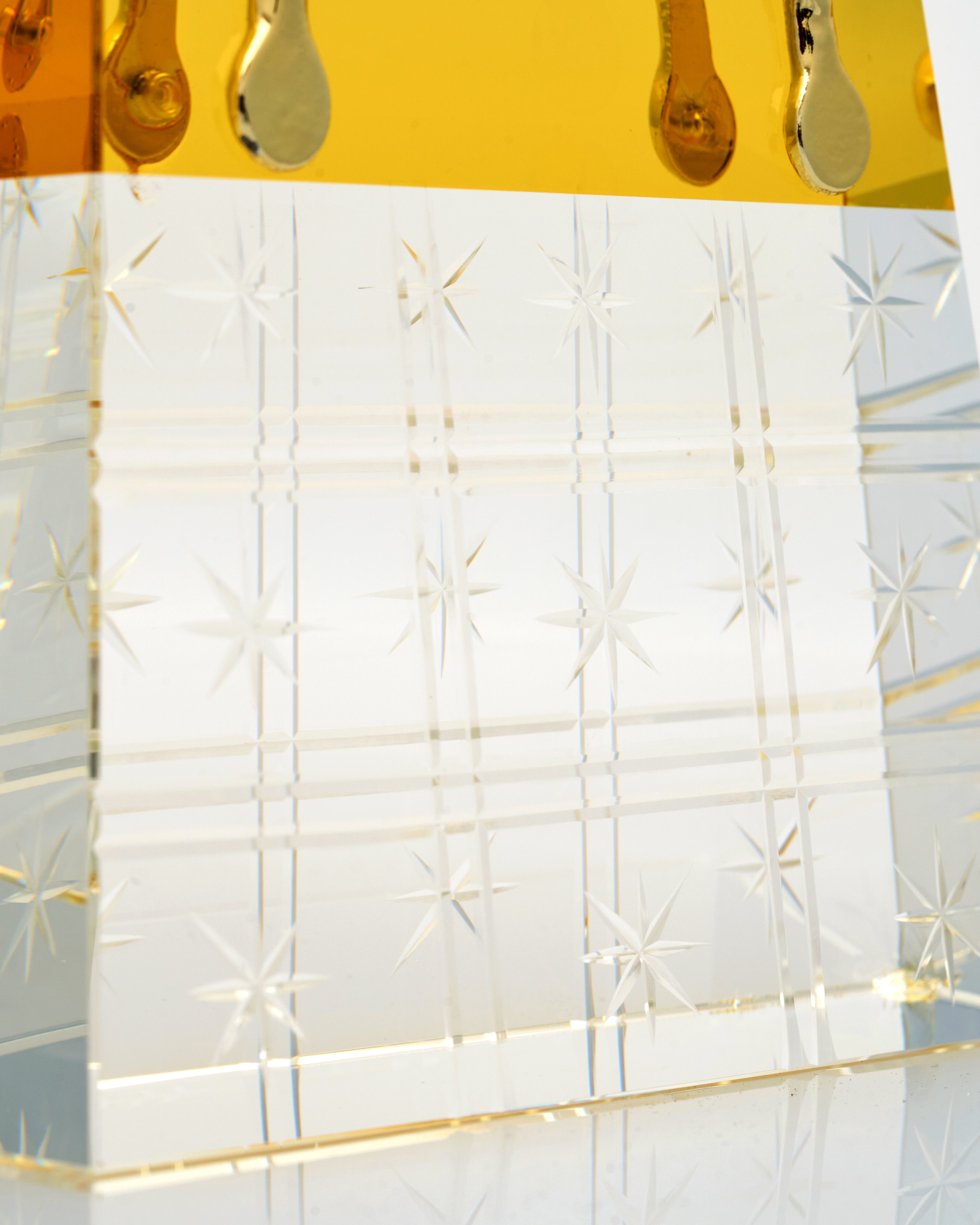 Transparent Vegan Bag