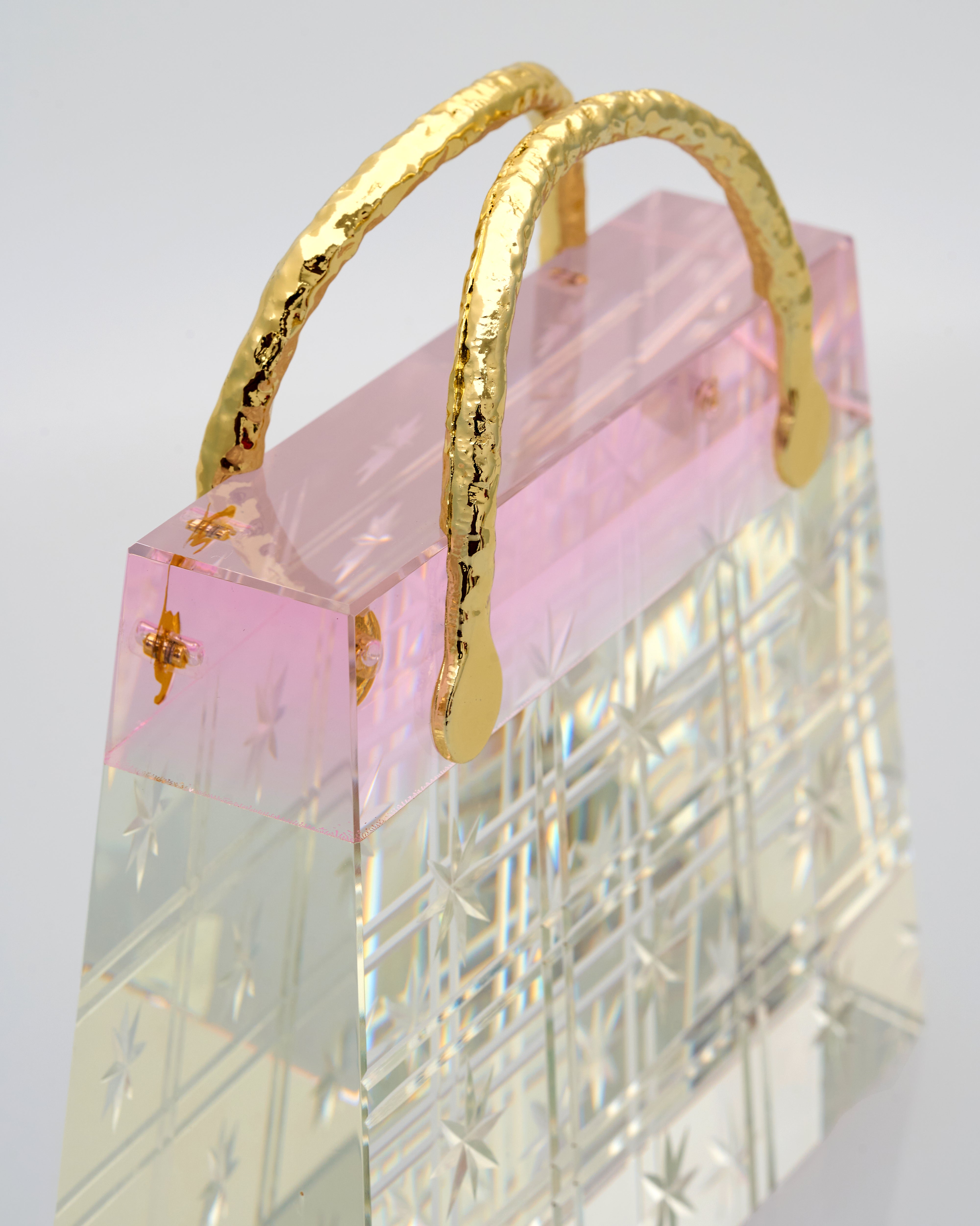 Transparent Vegan Bag