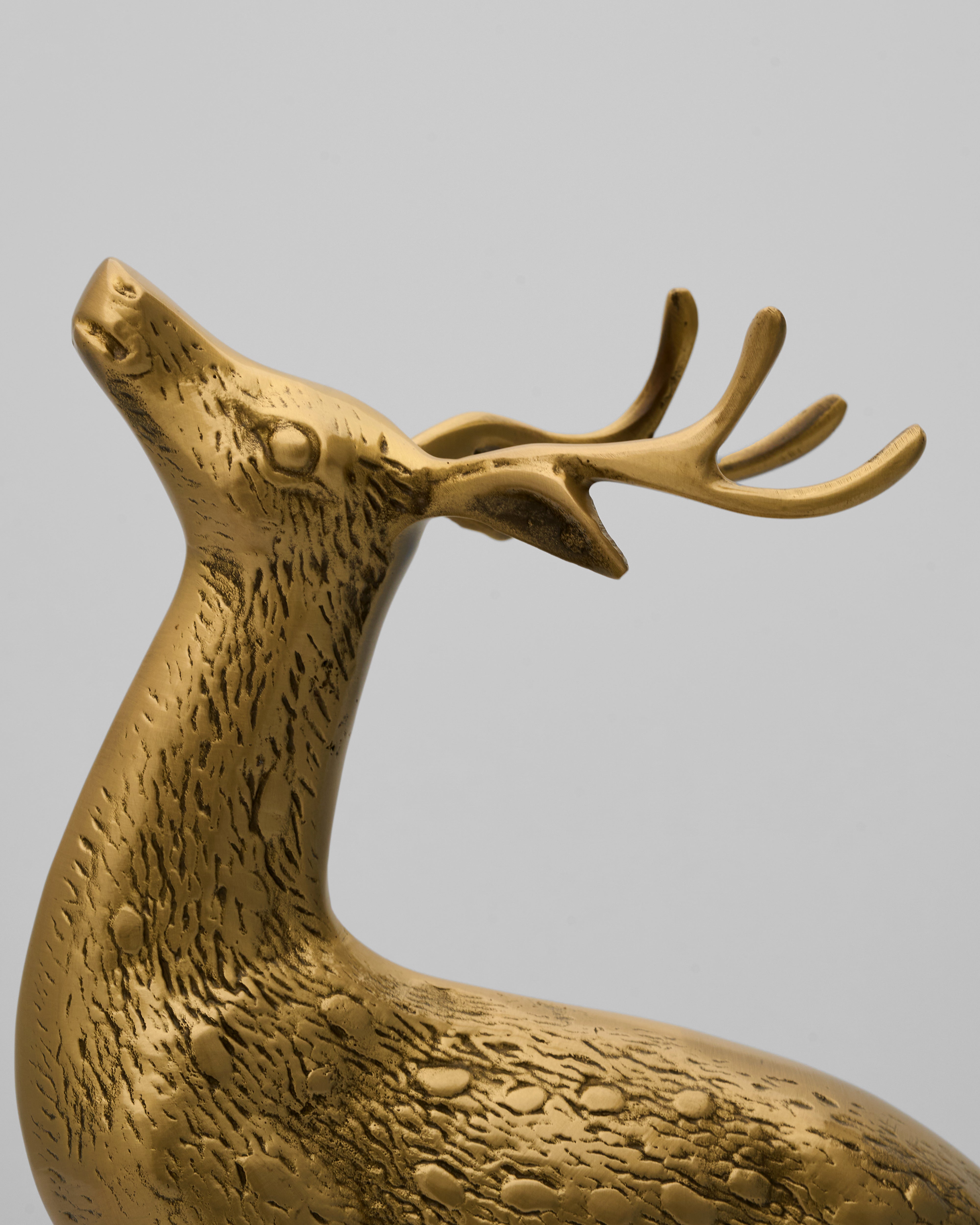 Golden Glade Textured Deer Set
