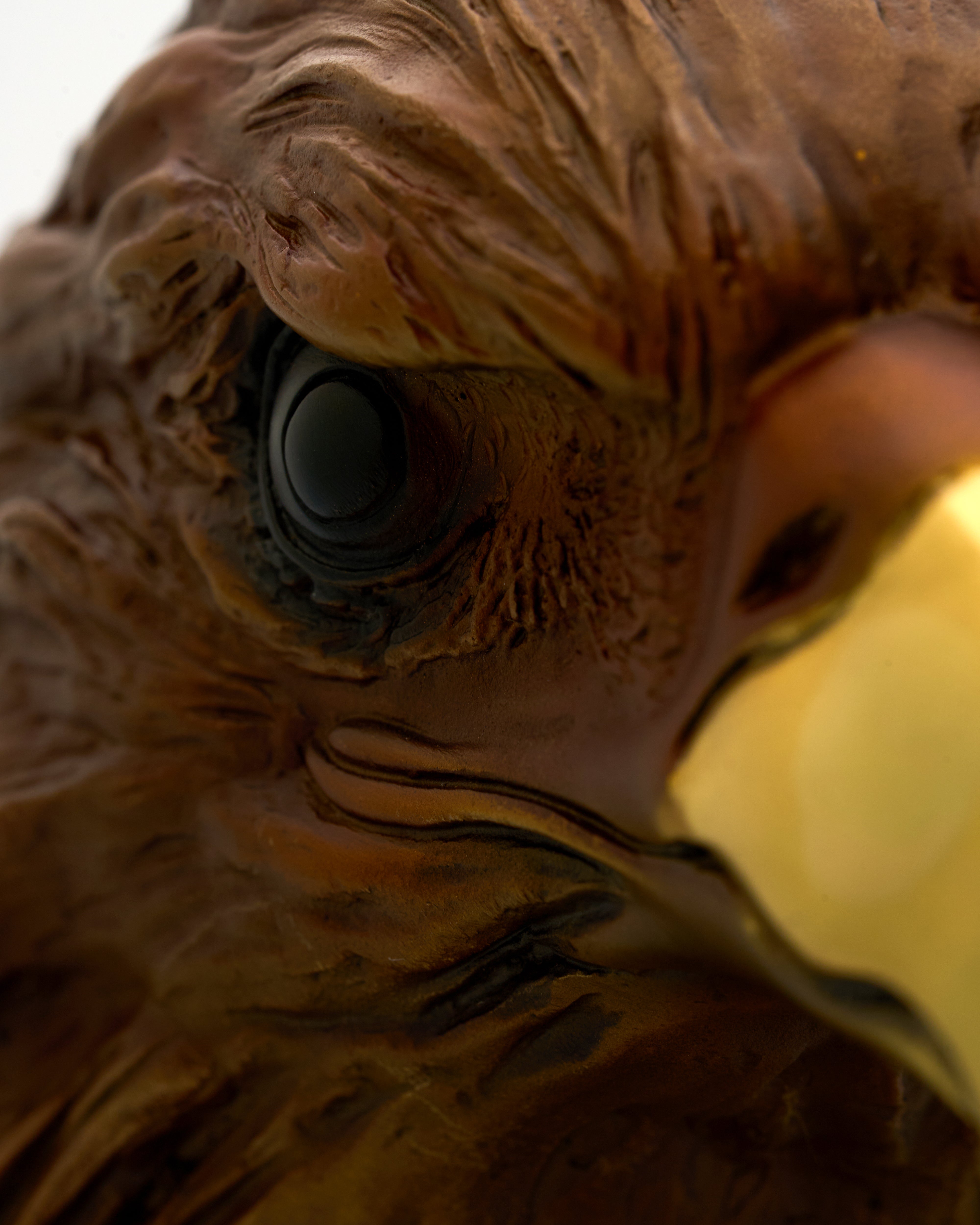 Close-up of a eagle's face with a focus on its eye and beak.