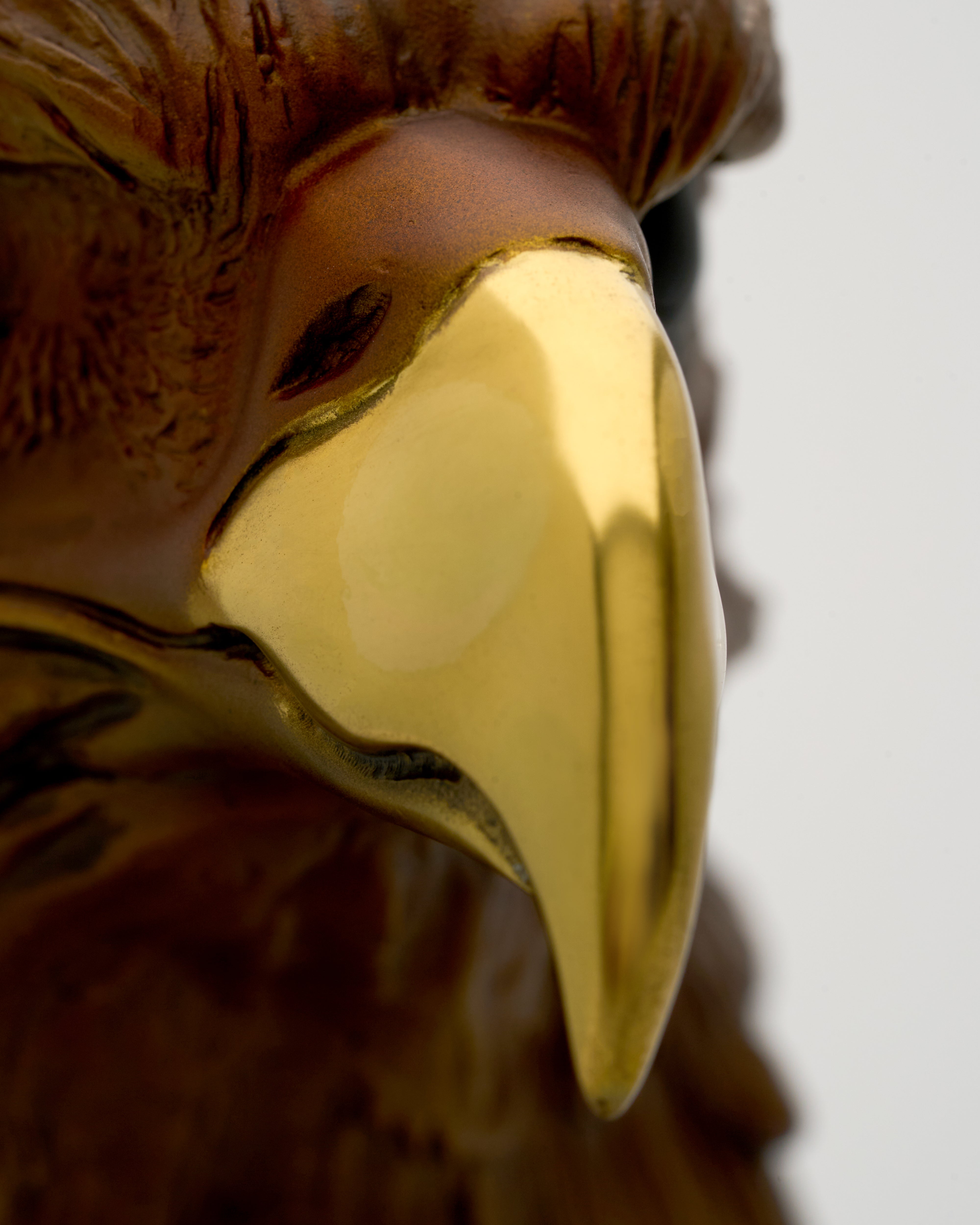 Close-up of an eagle's head with a gold beak against a neutral background
