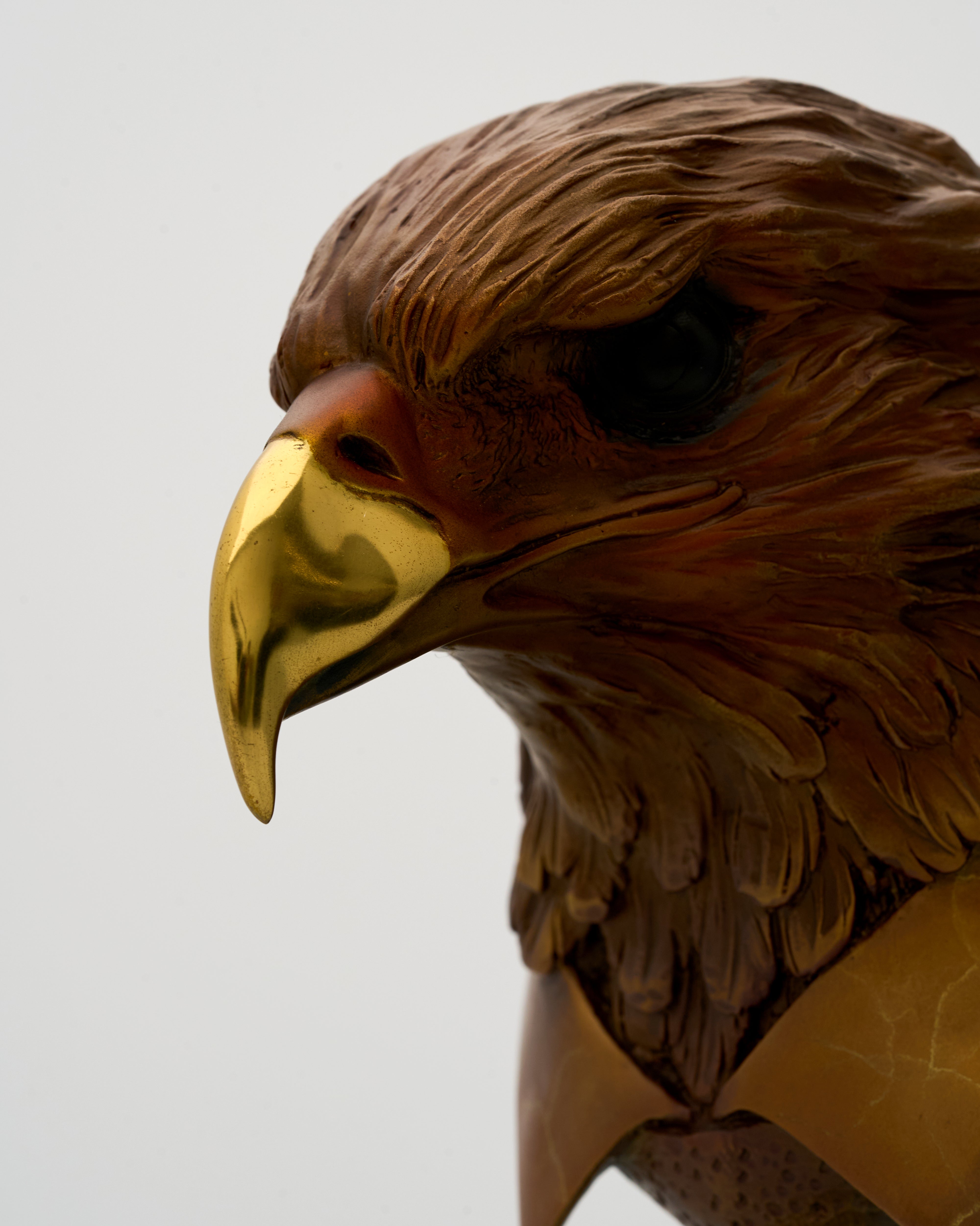 Close-up of an eagle's head with a gold beak against a light gray background
