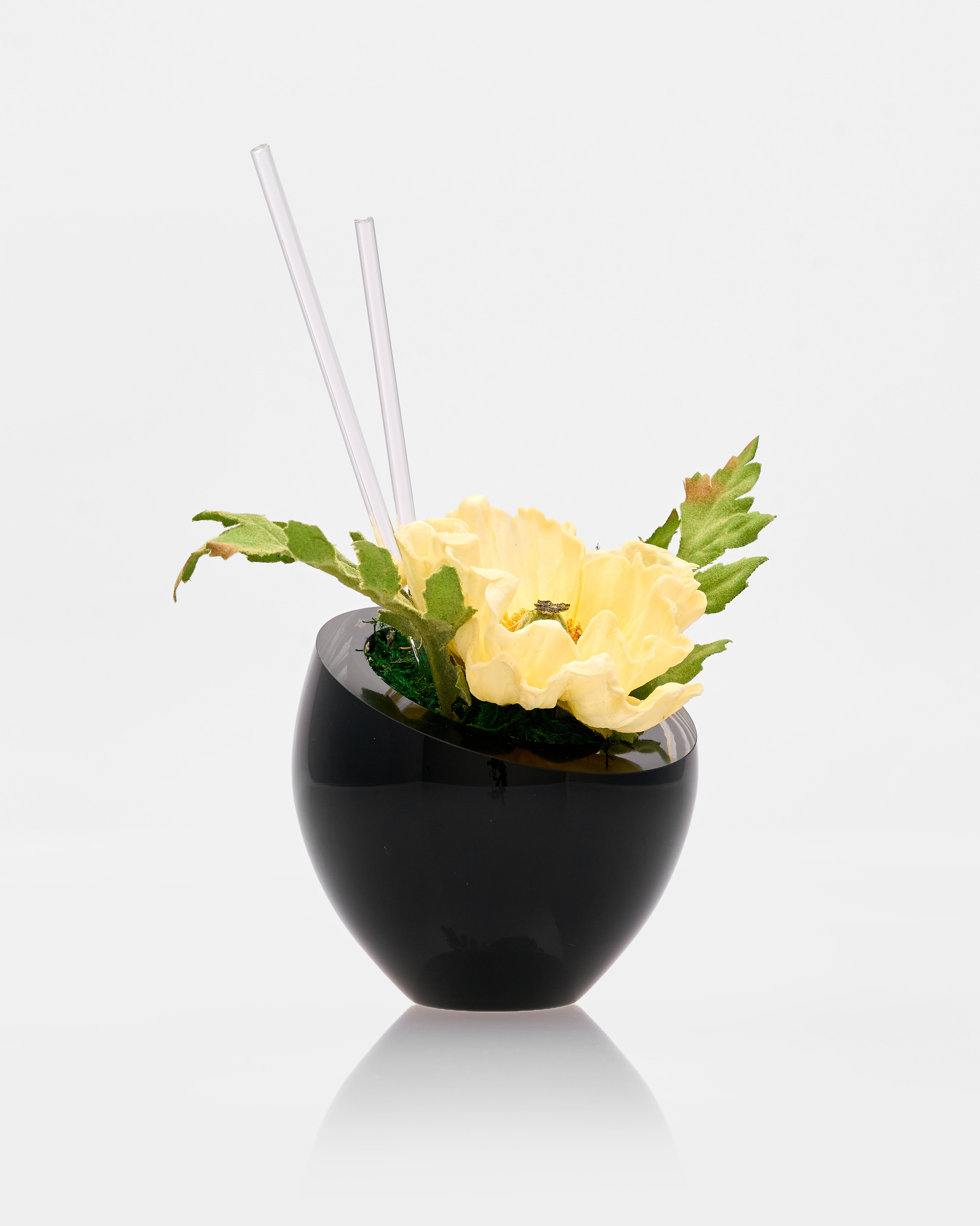 Black vase with yellow flowers and green leaves on a white background