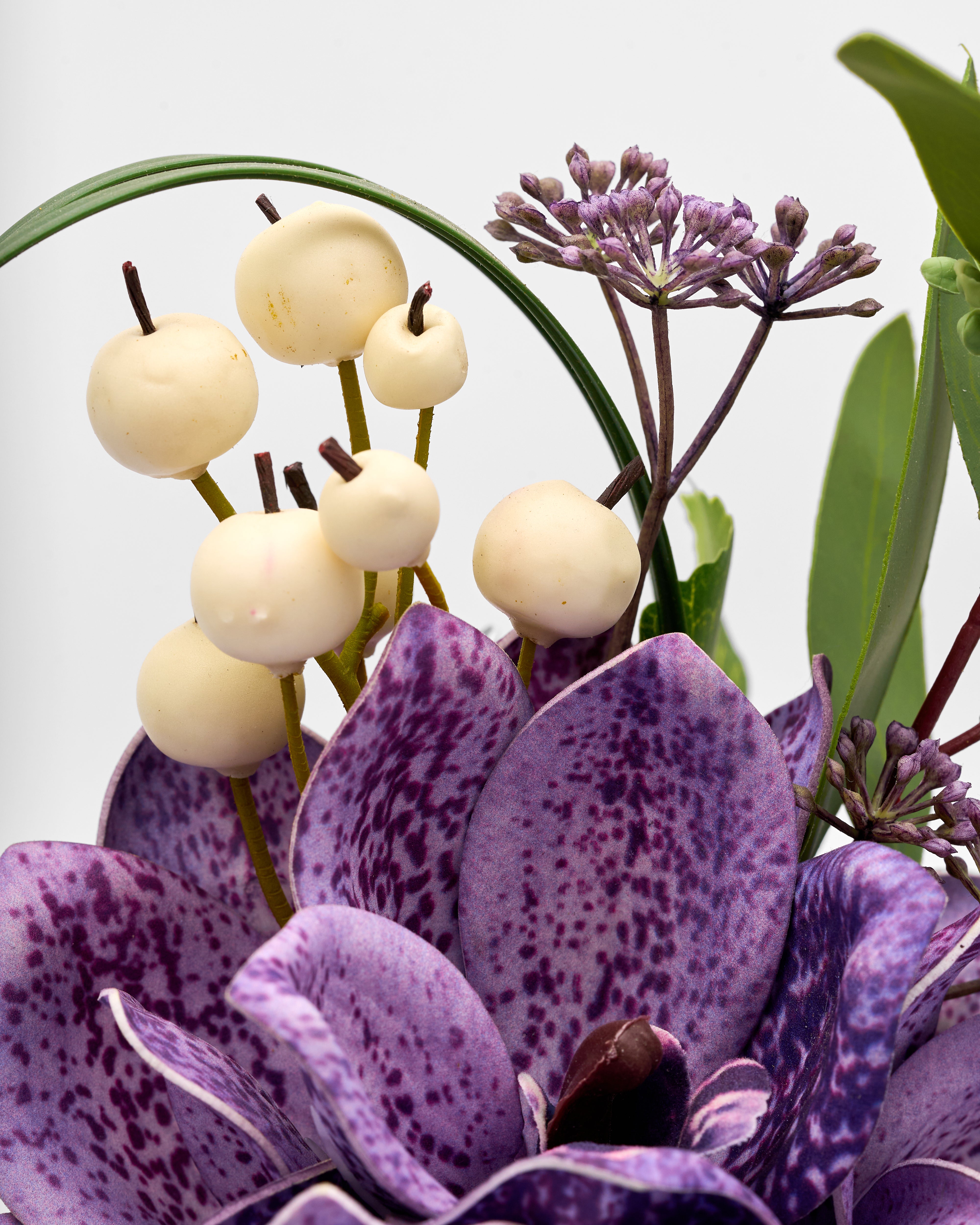 Close-up of purple and white flowers with a light background
