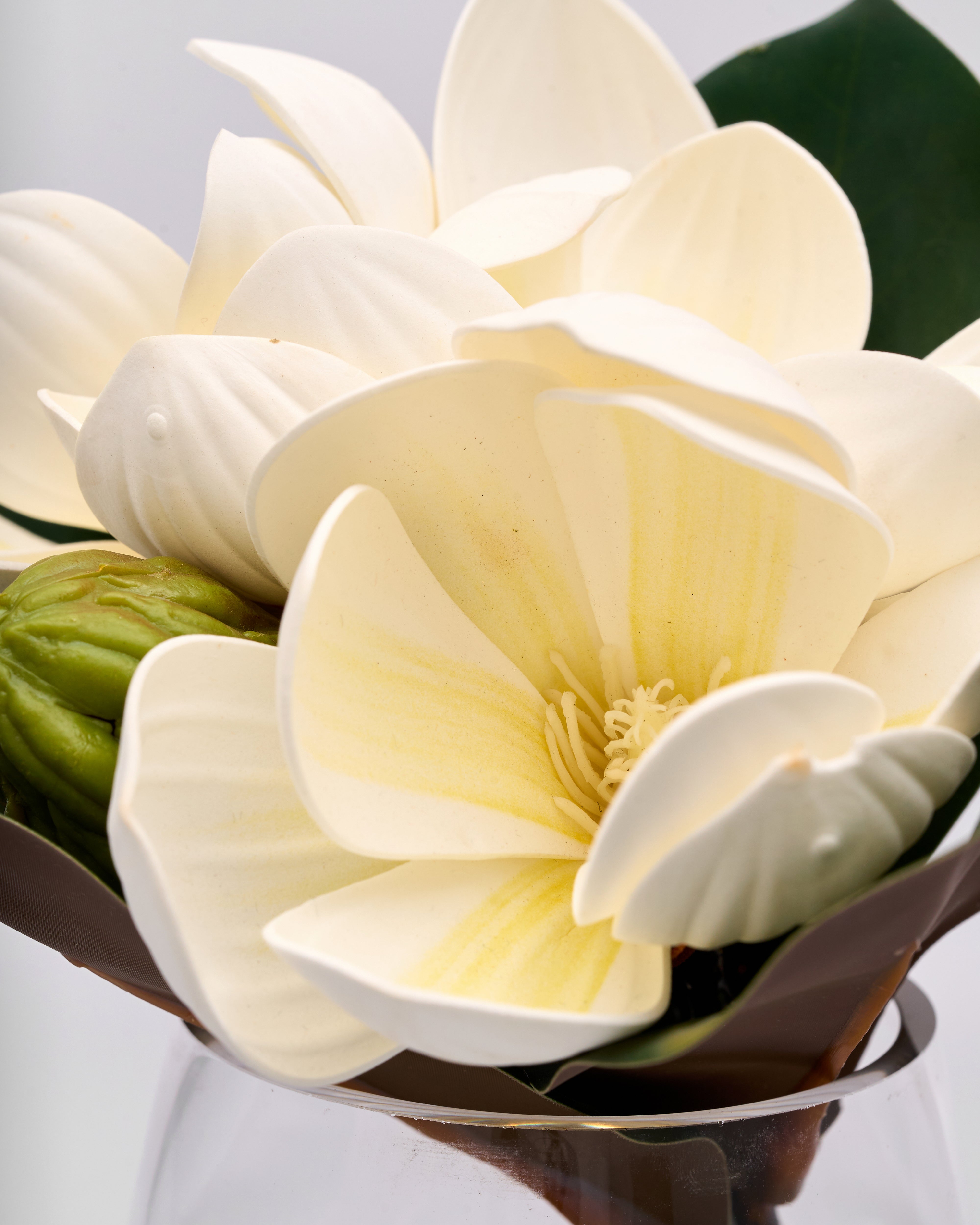 Close-up of a white flower with green leaves on a light gray background