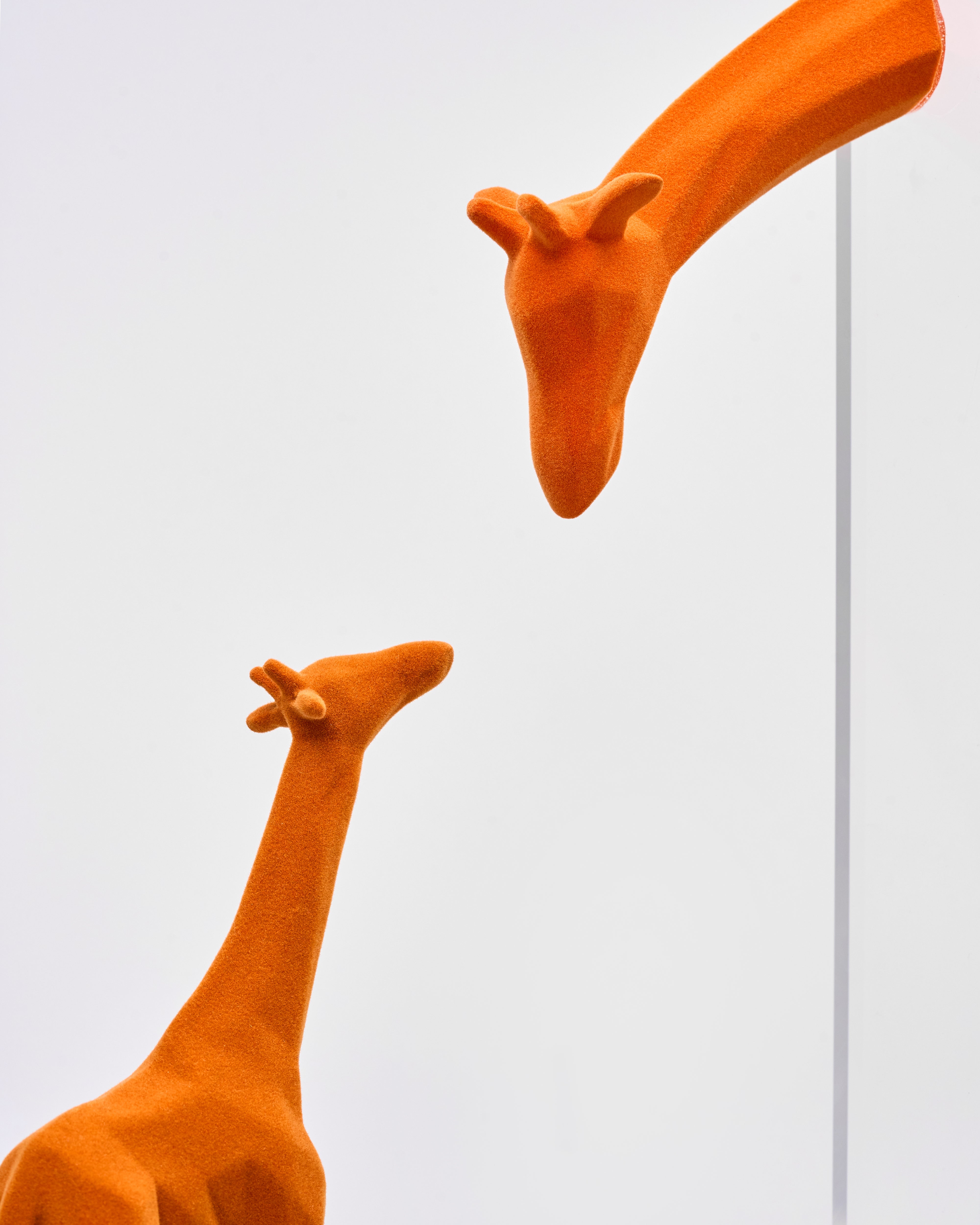 orange giraffe decor set on acrylic slits
