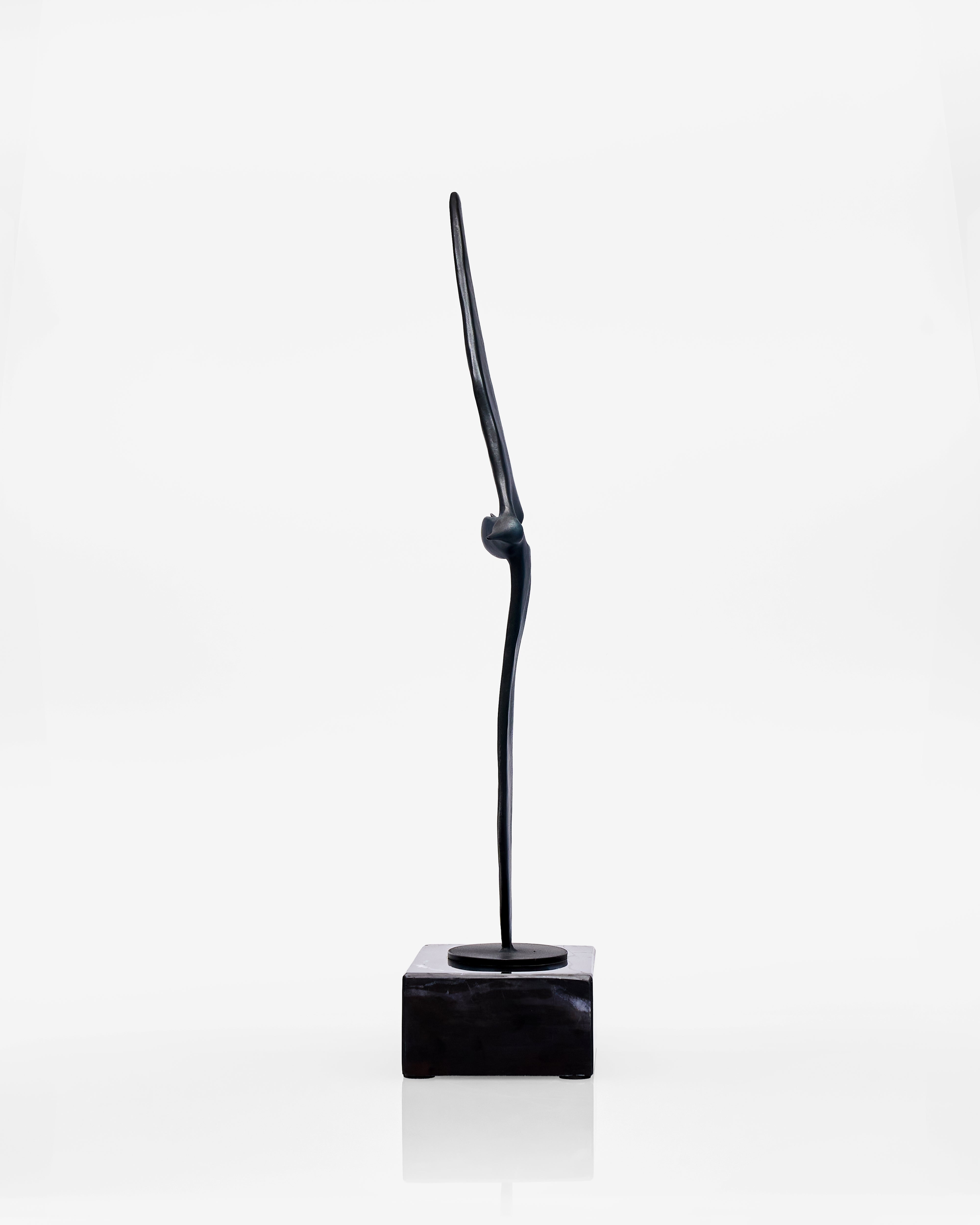 Black decorative object on a white background