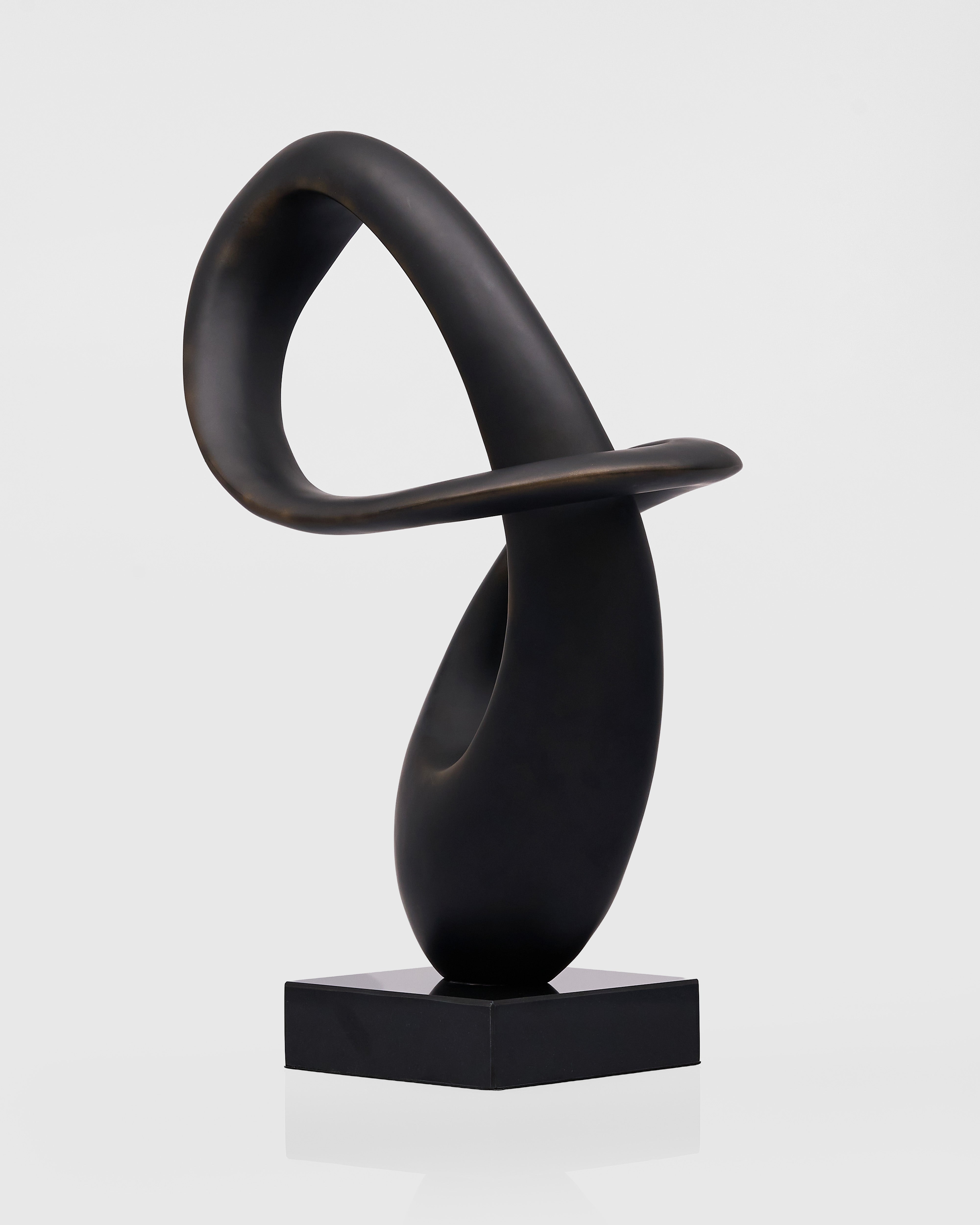 Black abstract sculpture on a white background