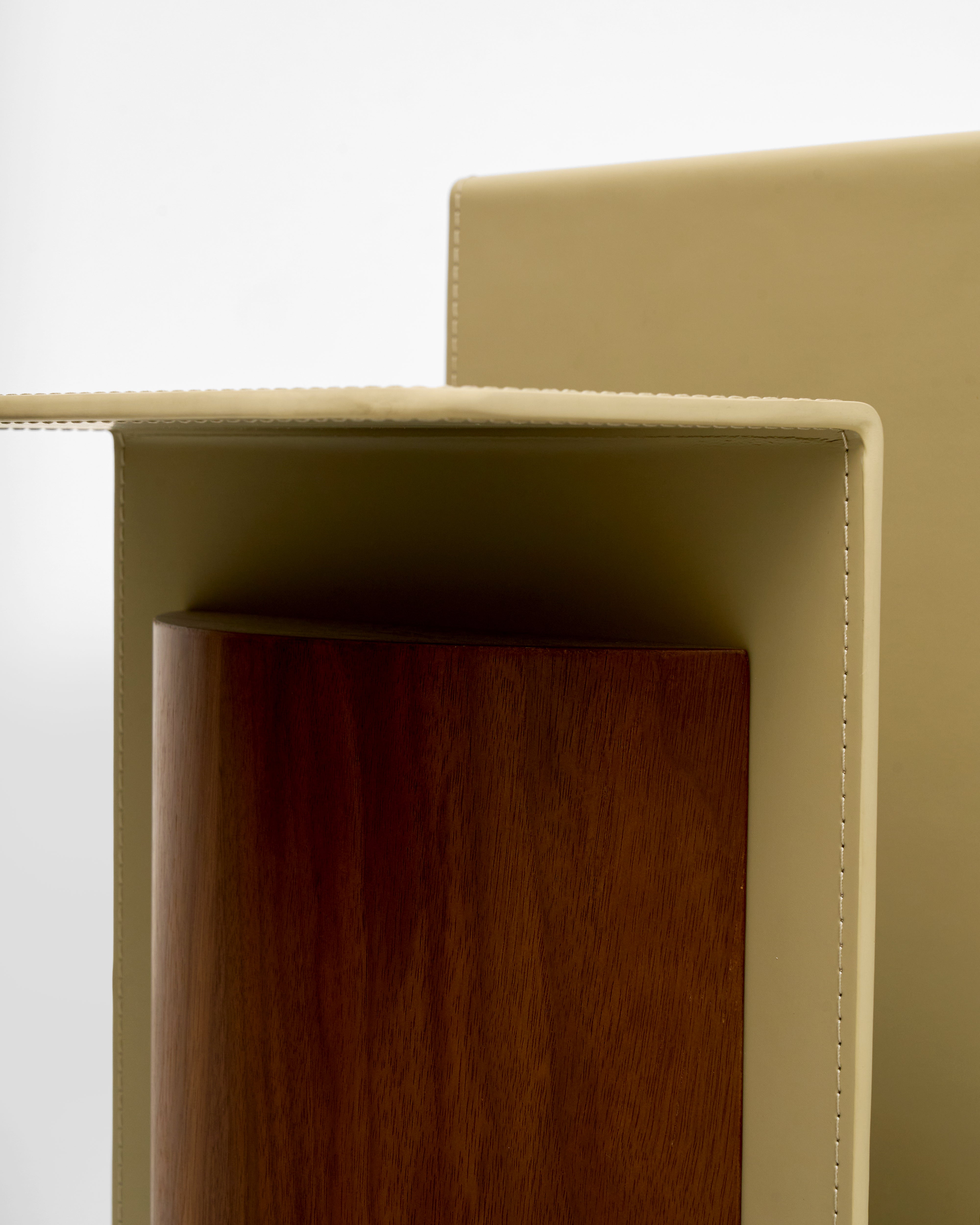 Close-up of a beige leather-bound book with wooden spine on a white background