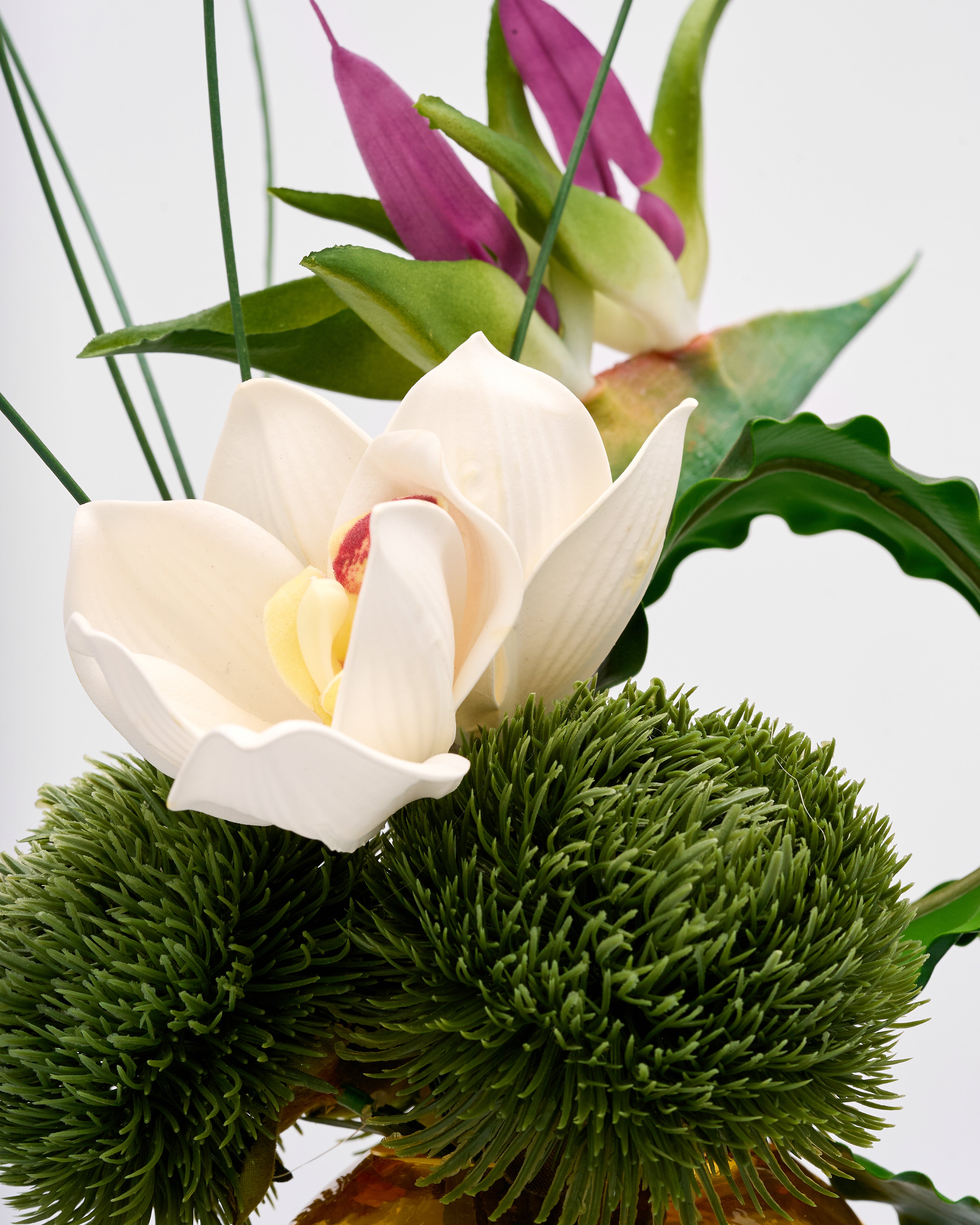 Close-up of a white flower with green foliage on a light gray background