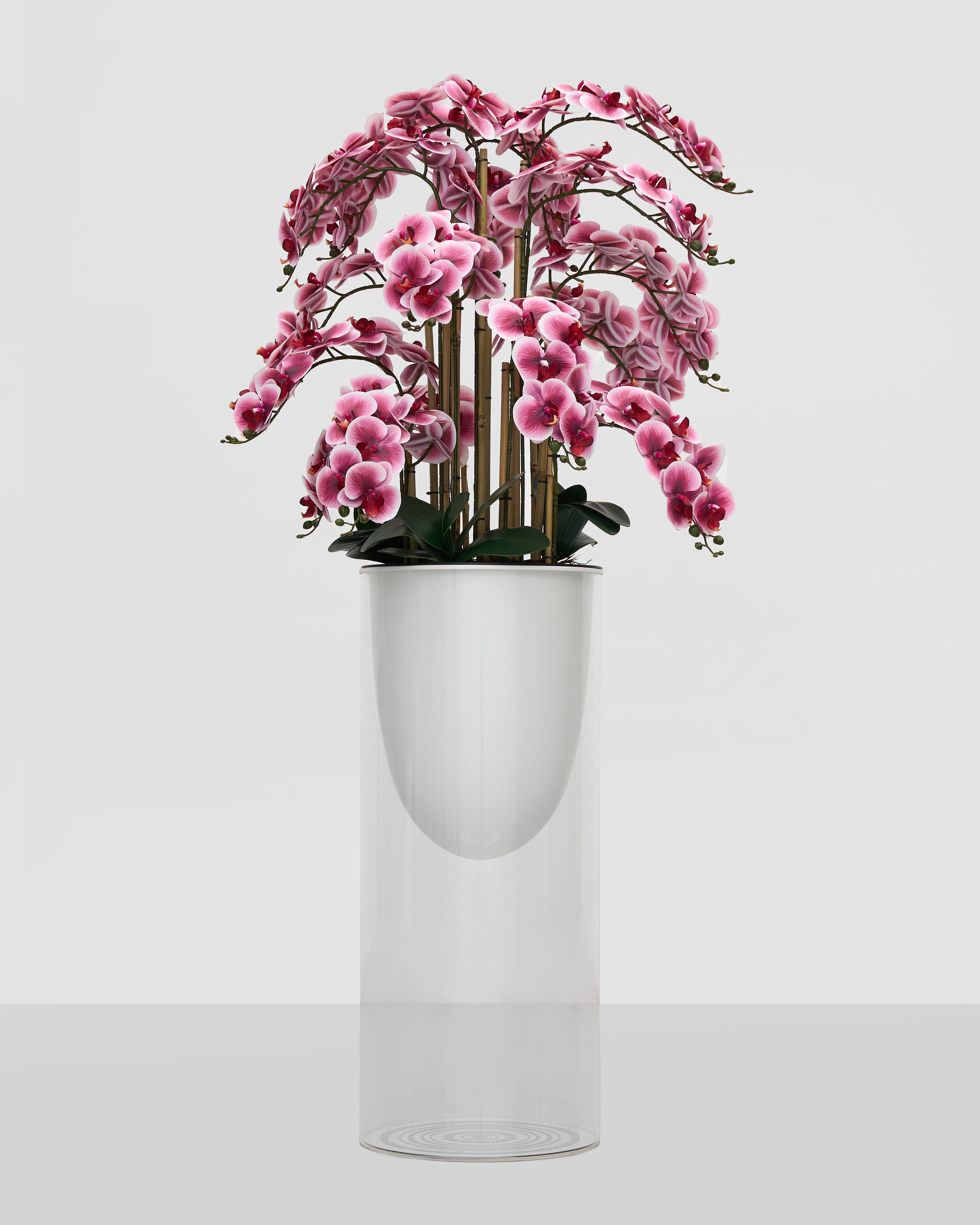 Pink orchids in a white vase on a light gray background