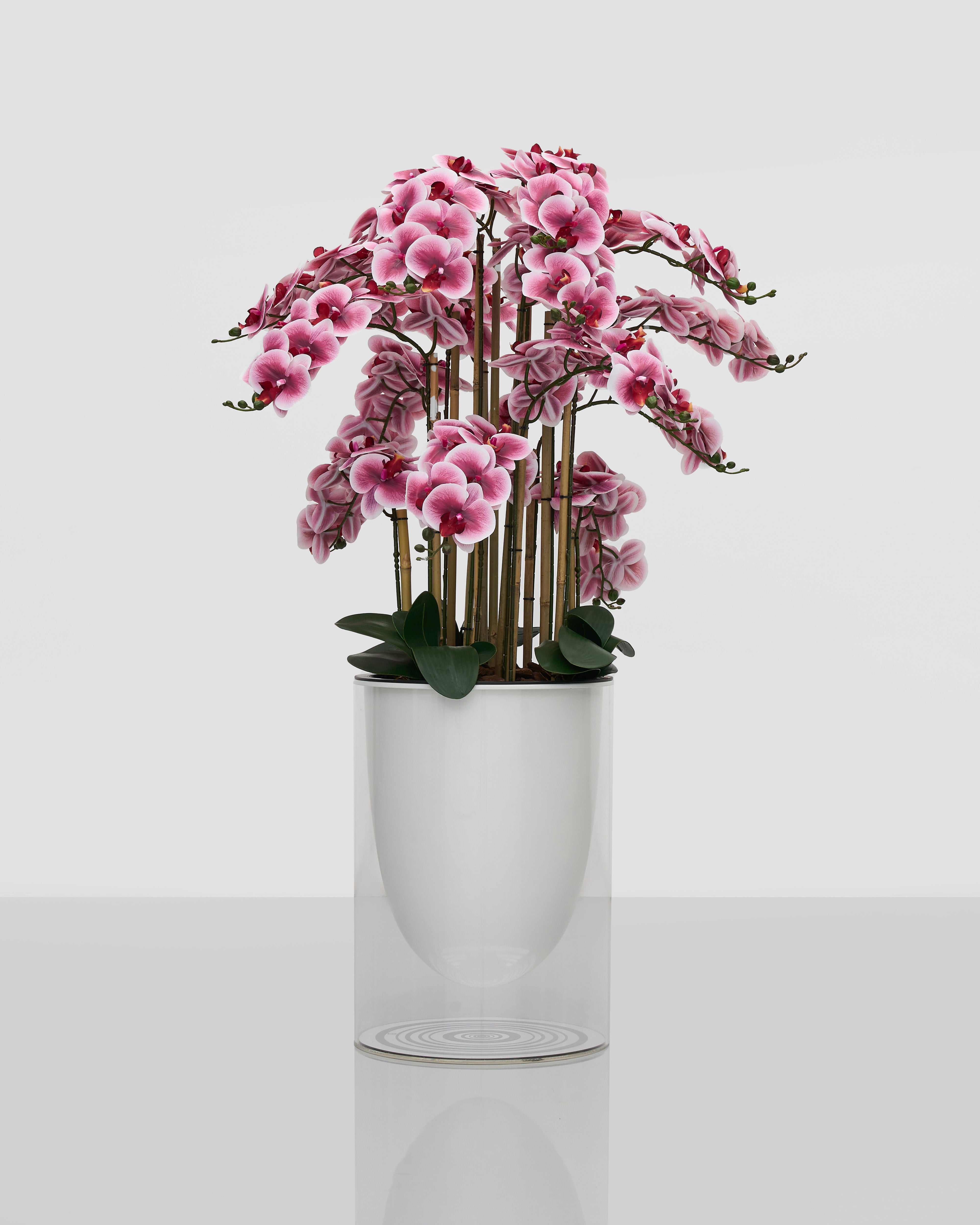 Pink flowering plant in a white pot on a light gray background