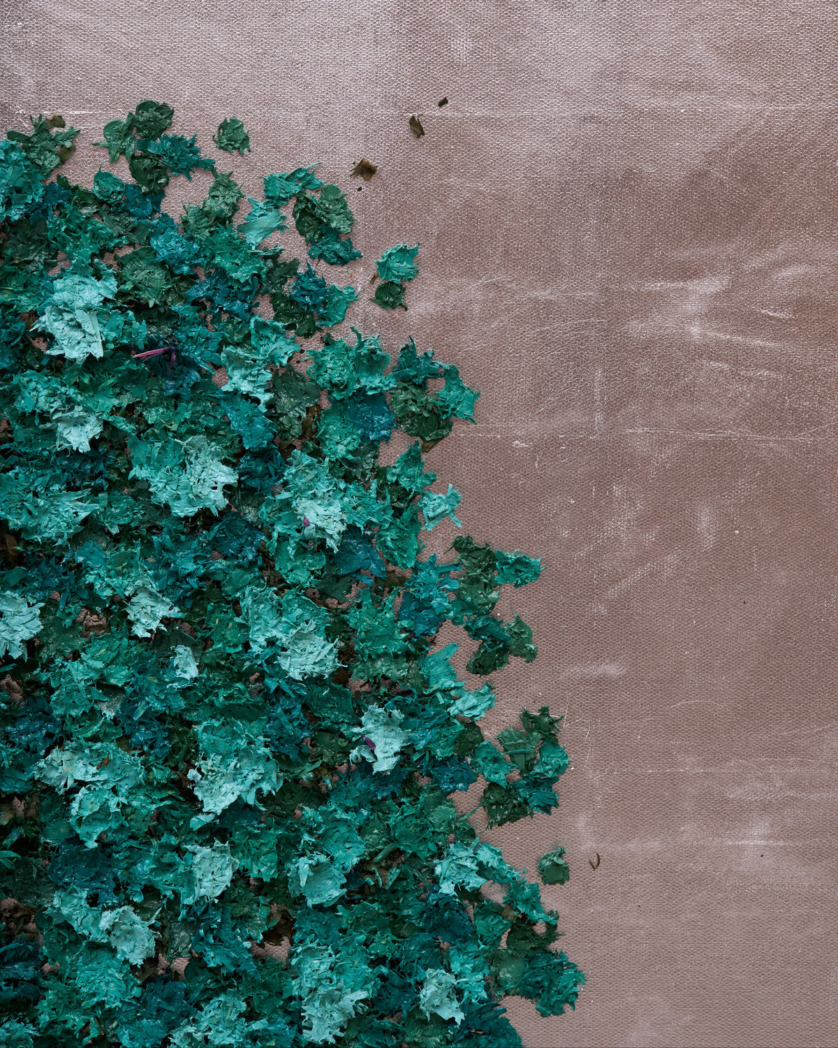 A close-up of textured green foliage growing against a large, smooth taupe-brown wall, with the wall occupying most of the frame and the leaves clustered in the lower-left corner.