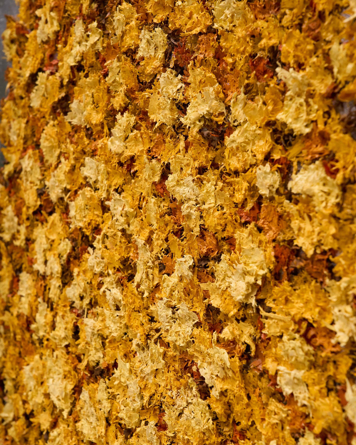 The Four Seasons - Modern Luxury Wallart