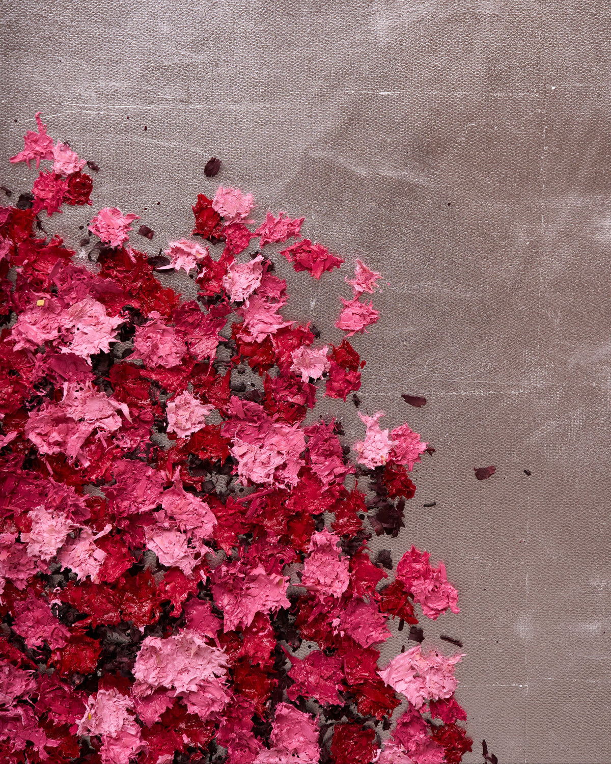 A close-up of textured pink and red dried flower petals scattered across the lower-left corner of a neutral gray surface.