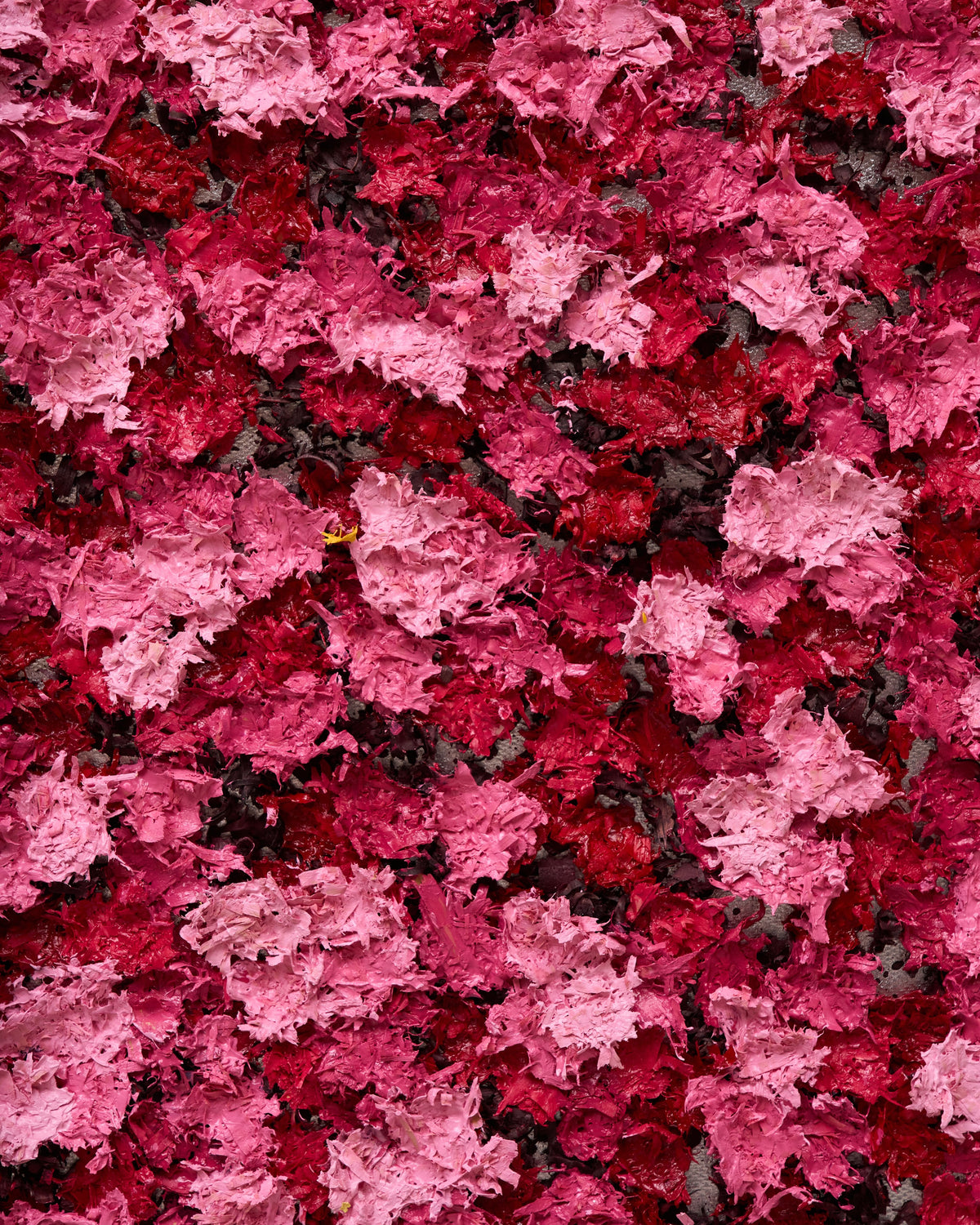The Four Seasons - Modern Luxury Wallart