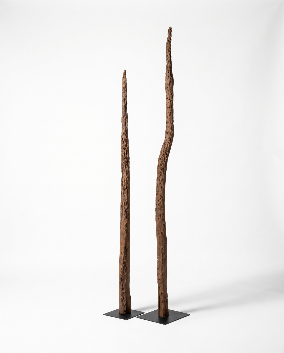 The Sylvan Pillars - Modern Wooden Sculpture