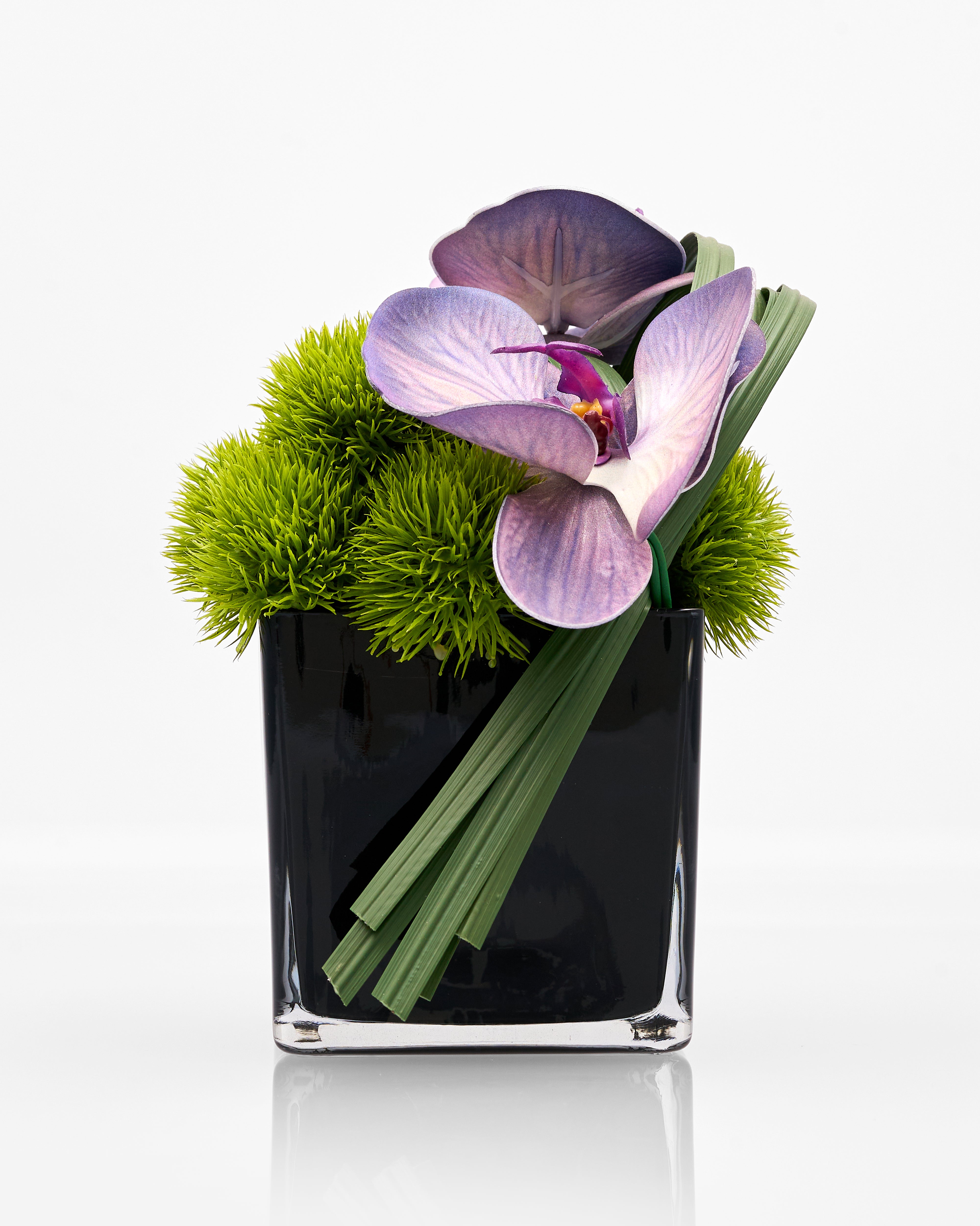 Black square vase with purple orchid and green foliage on a white background