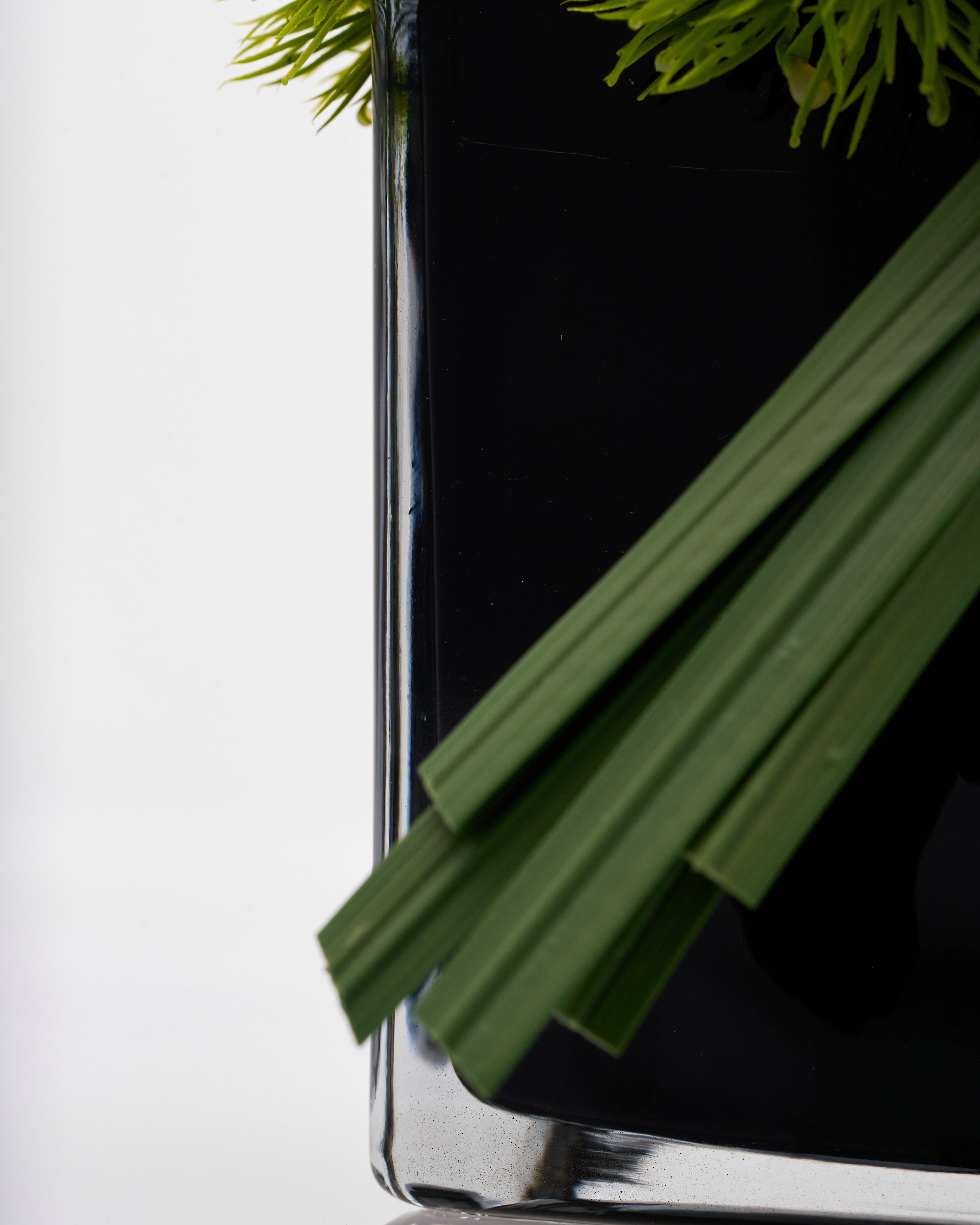 Green leaves in a clear glass with a black background