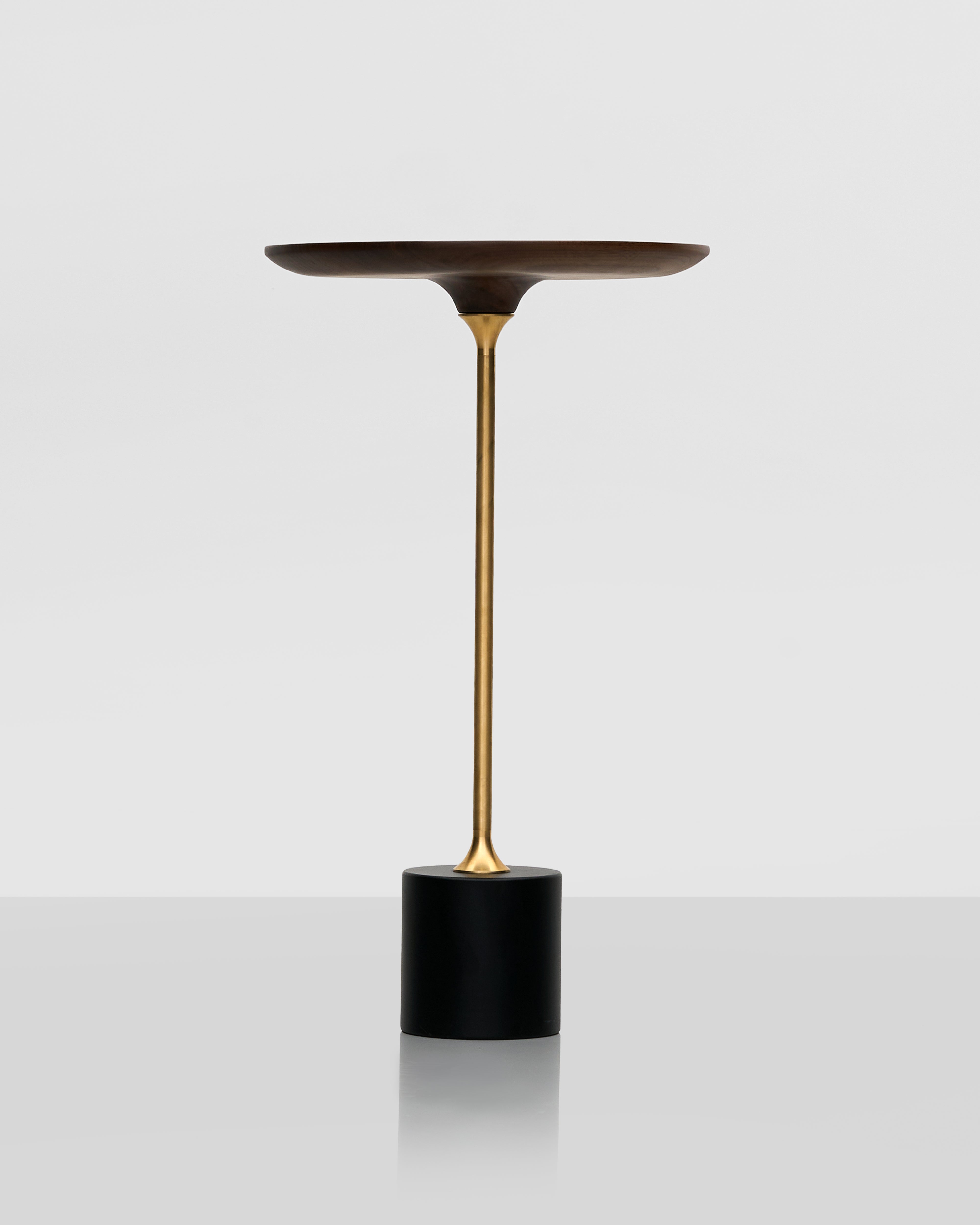 Aesthetic Wood Side Table luxury home accent featuring premium wooden finish and refined contemporary design