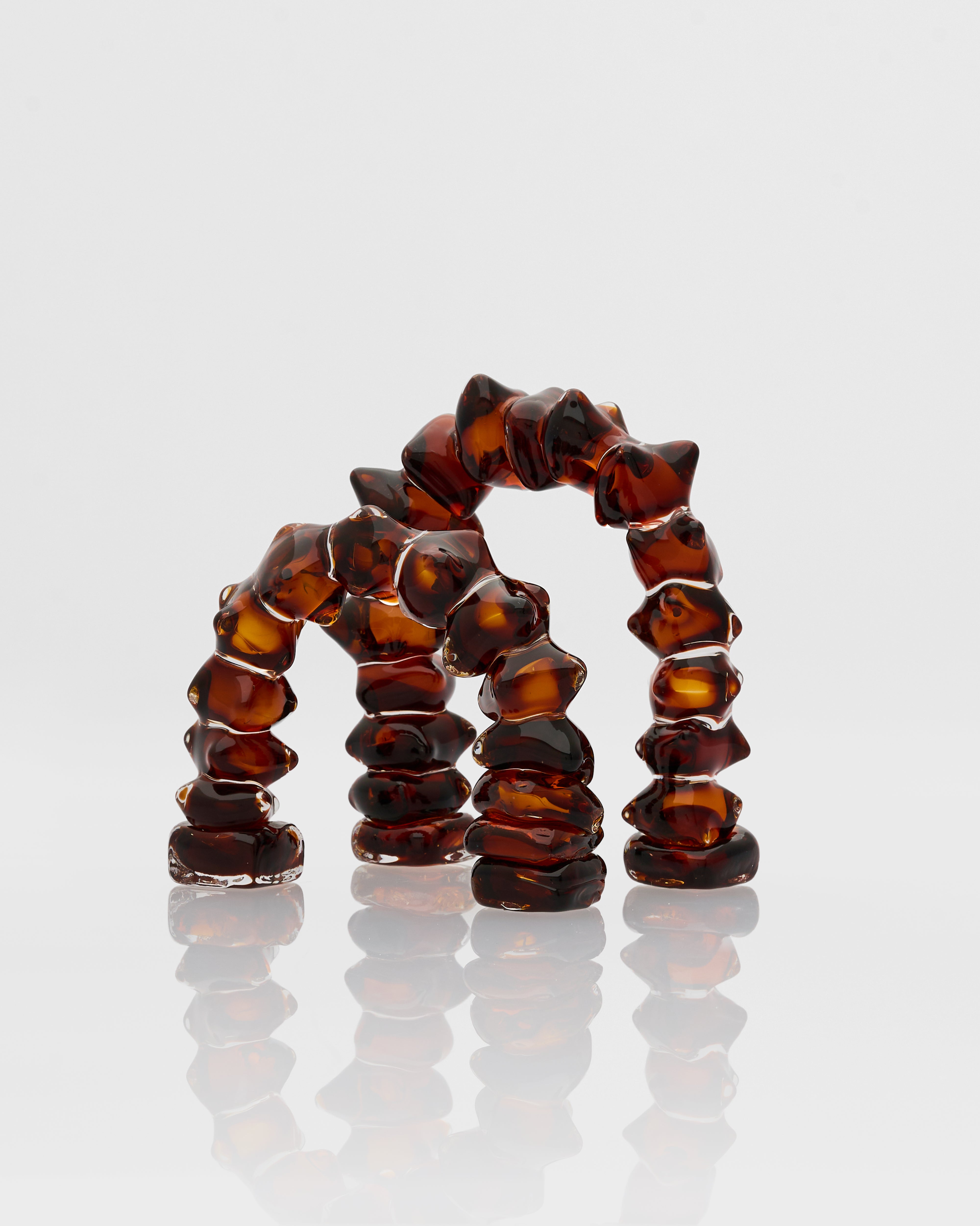 Set of three tortoiseshell ring-shaped objects on a white background