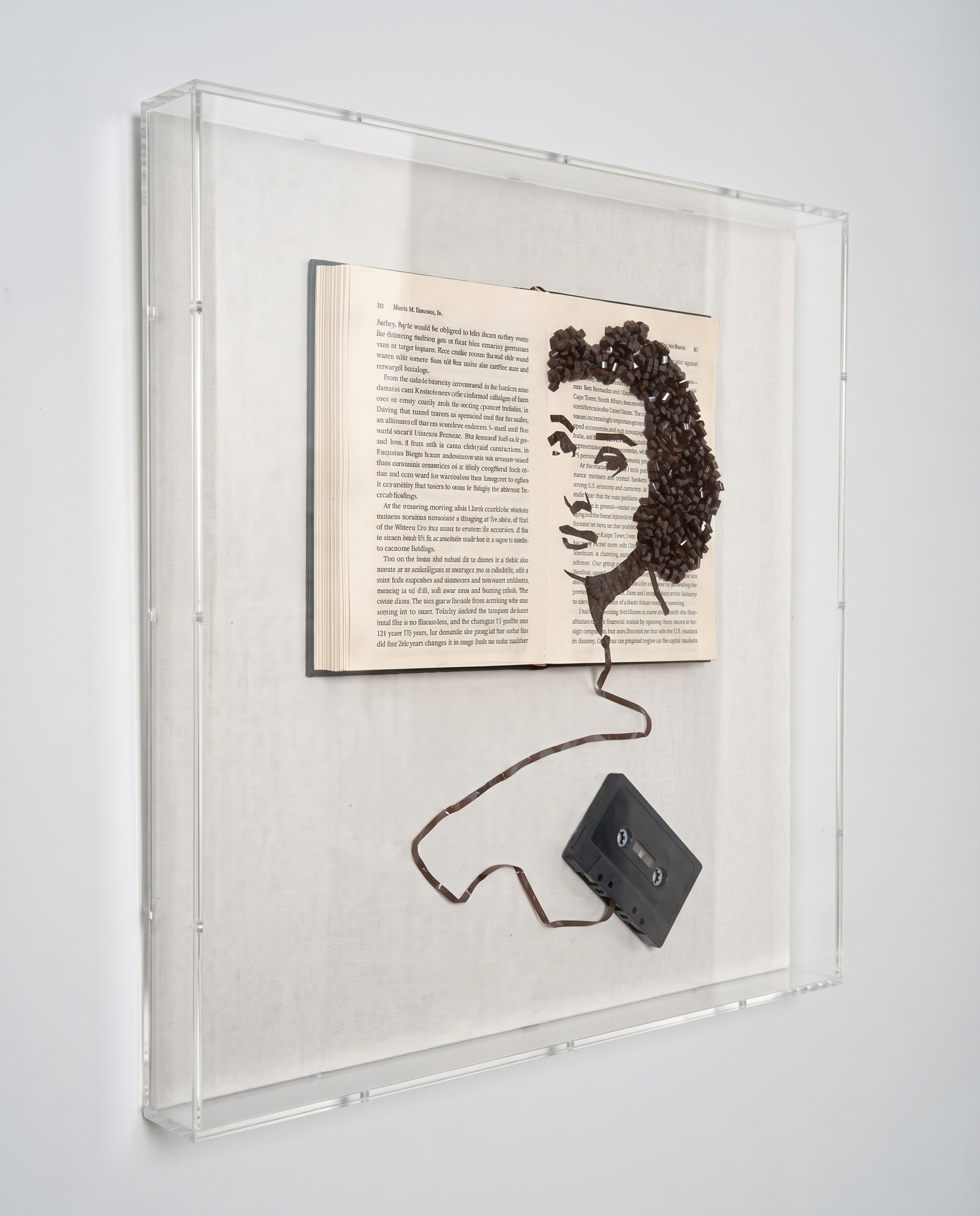 Echoes of Elegance - Analog Beauty Wall Art