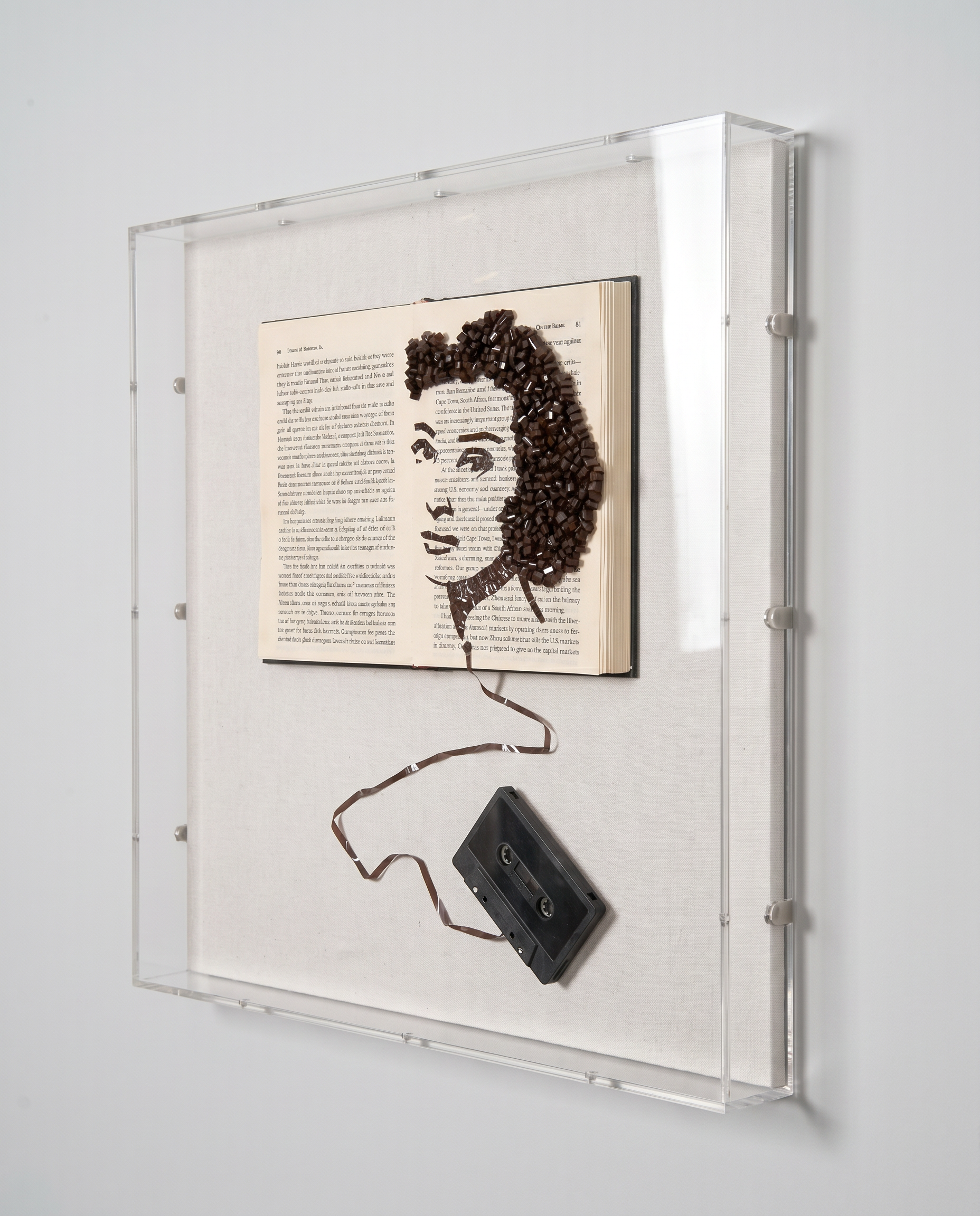 Echoes of Elegance - Analog Beauty Wall Art