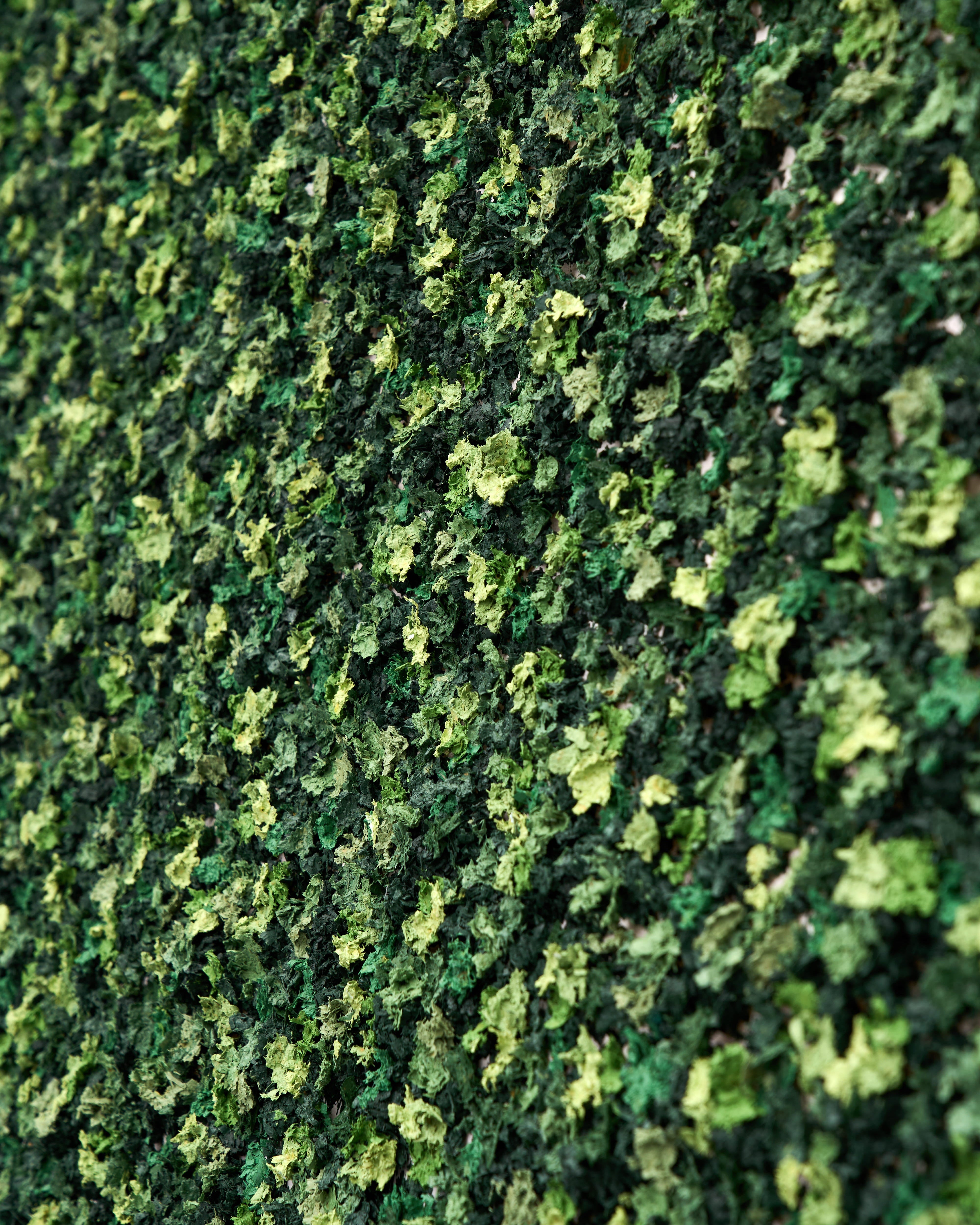 Emerald Bloom - Floral Blossom Wallart