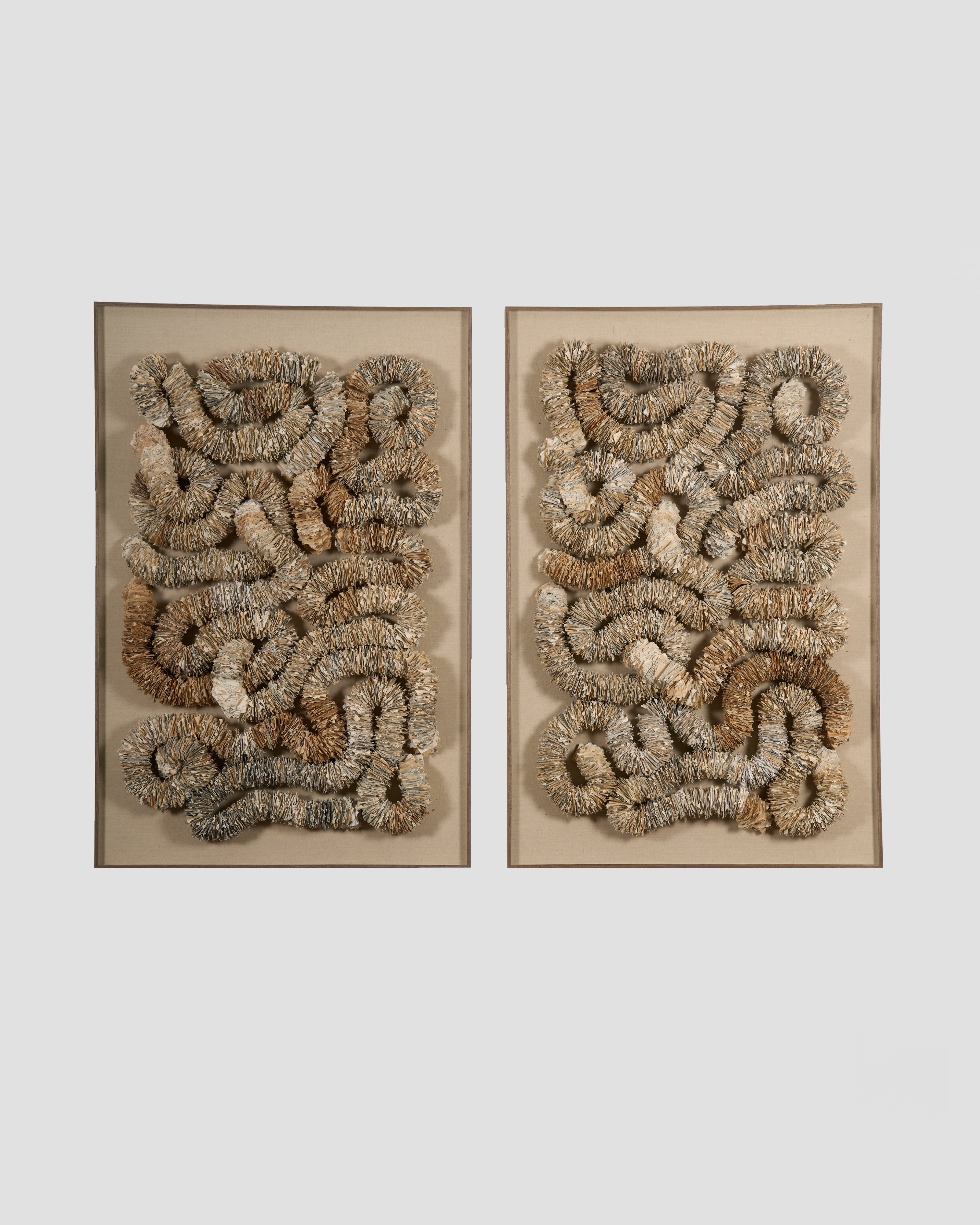 Two framed wall art pieces with textured, organic patterns on a plain background