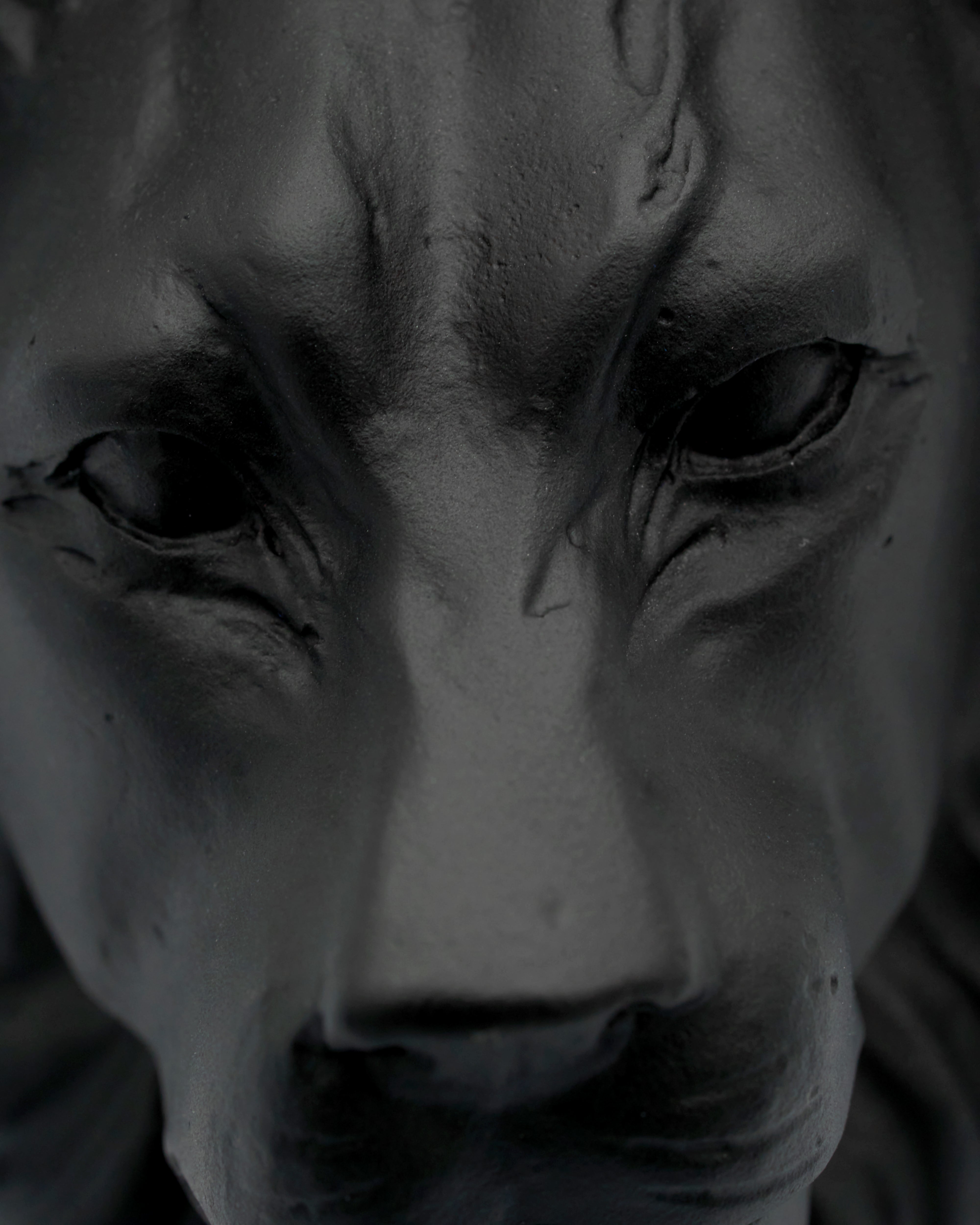 Close-up of a lion's face with a dark filter