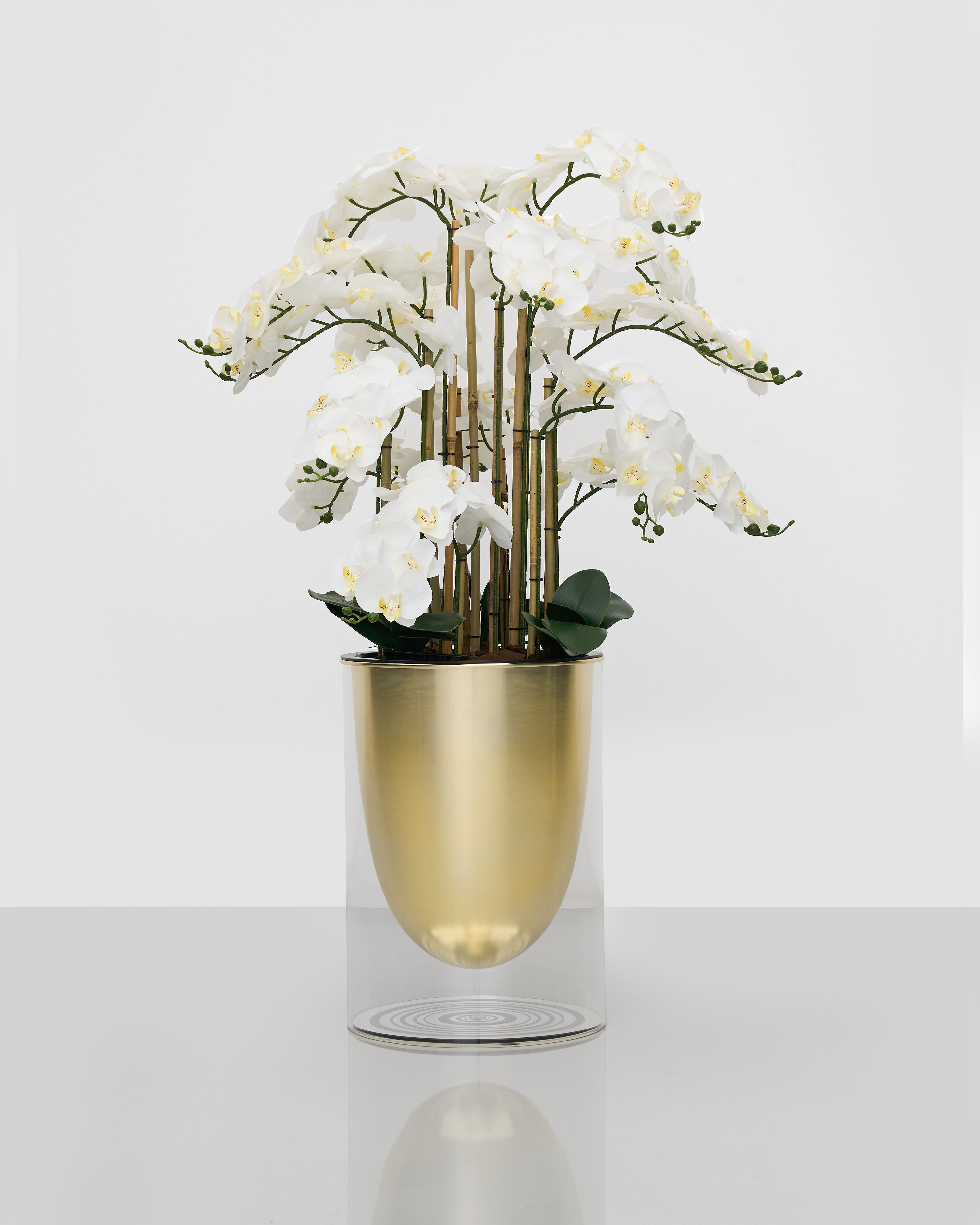Decorative vase with gold base and clear glass body containing white flowers and greenery on a white background