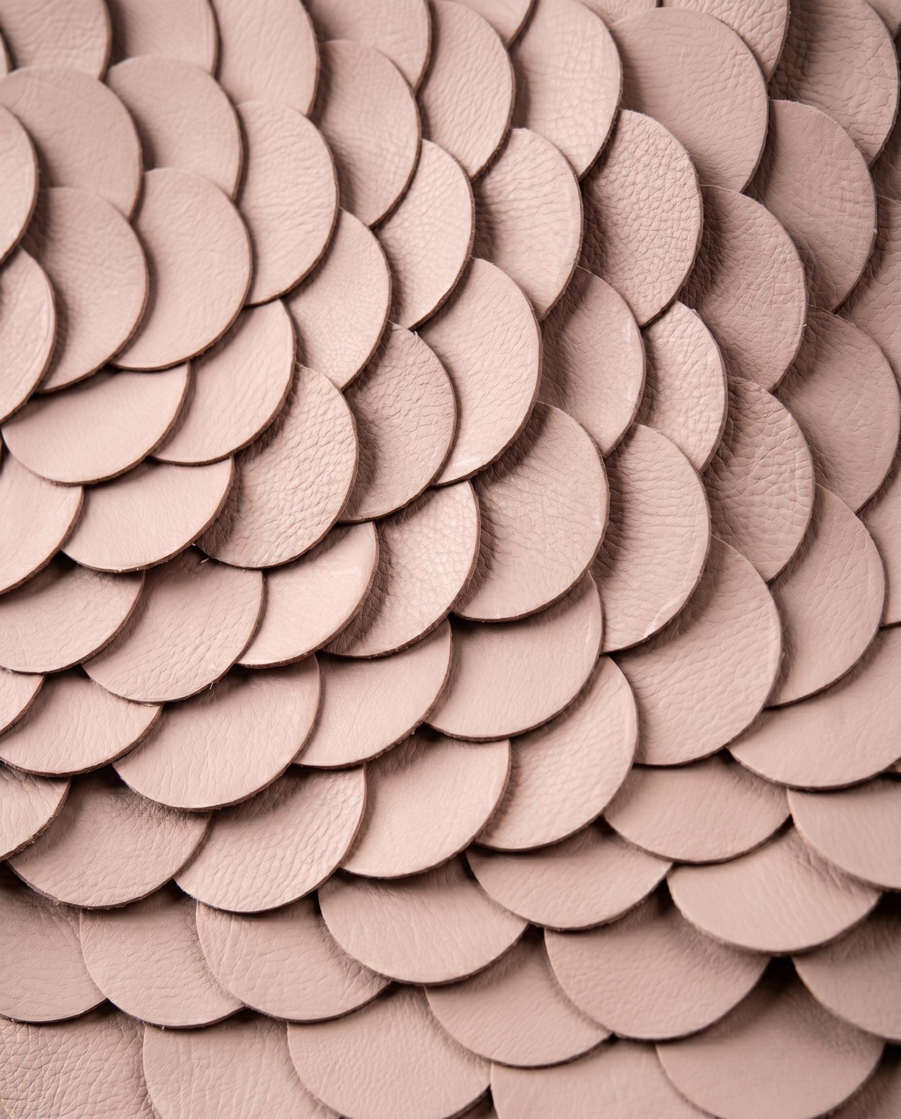 Ethereal Rings - Modern Luxury Wallart