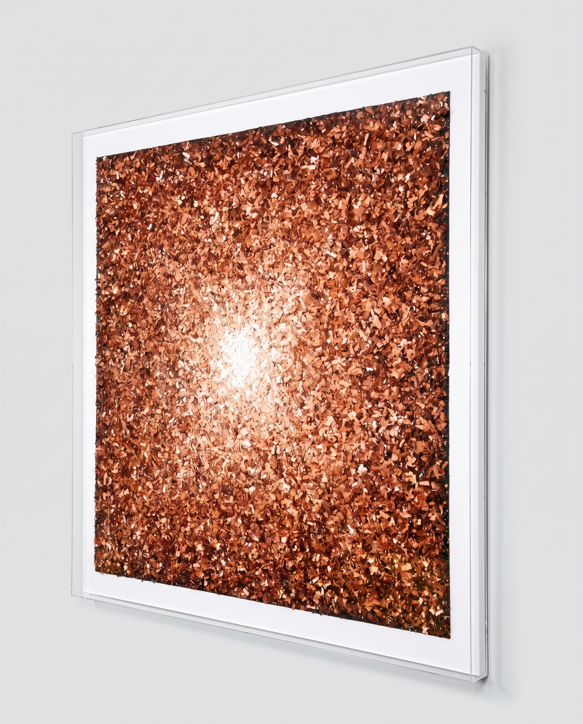 Solstice Bloom - Creative Luxury Wallart