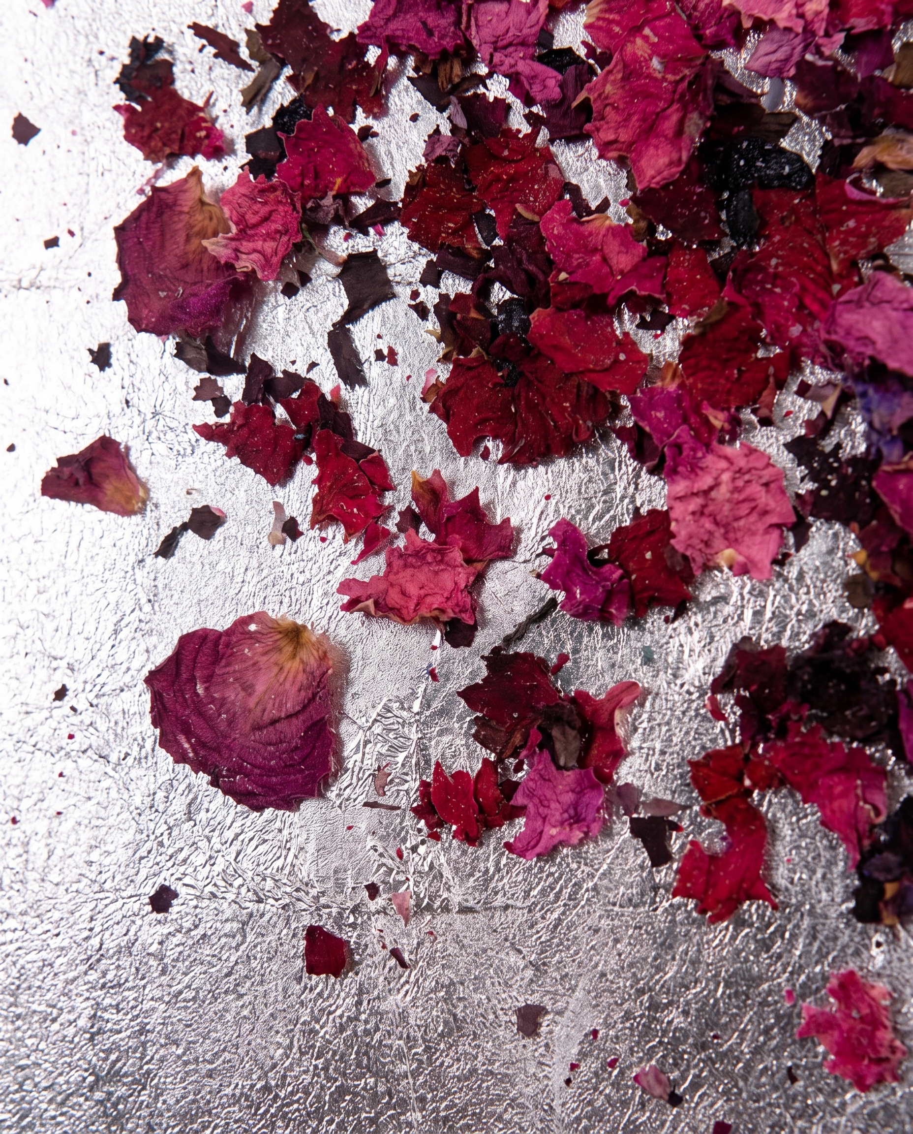 The Blush Bloom - Modern Luxury Blossom Wallart