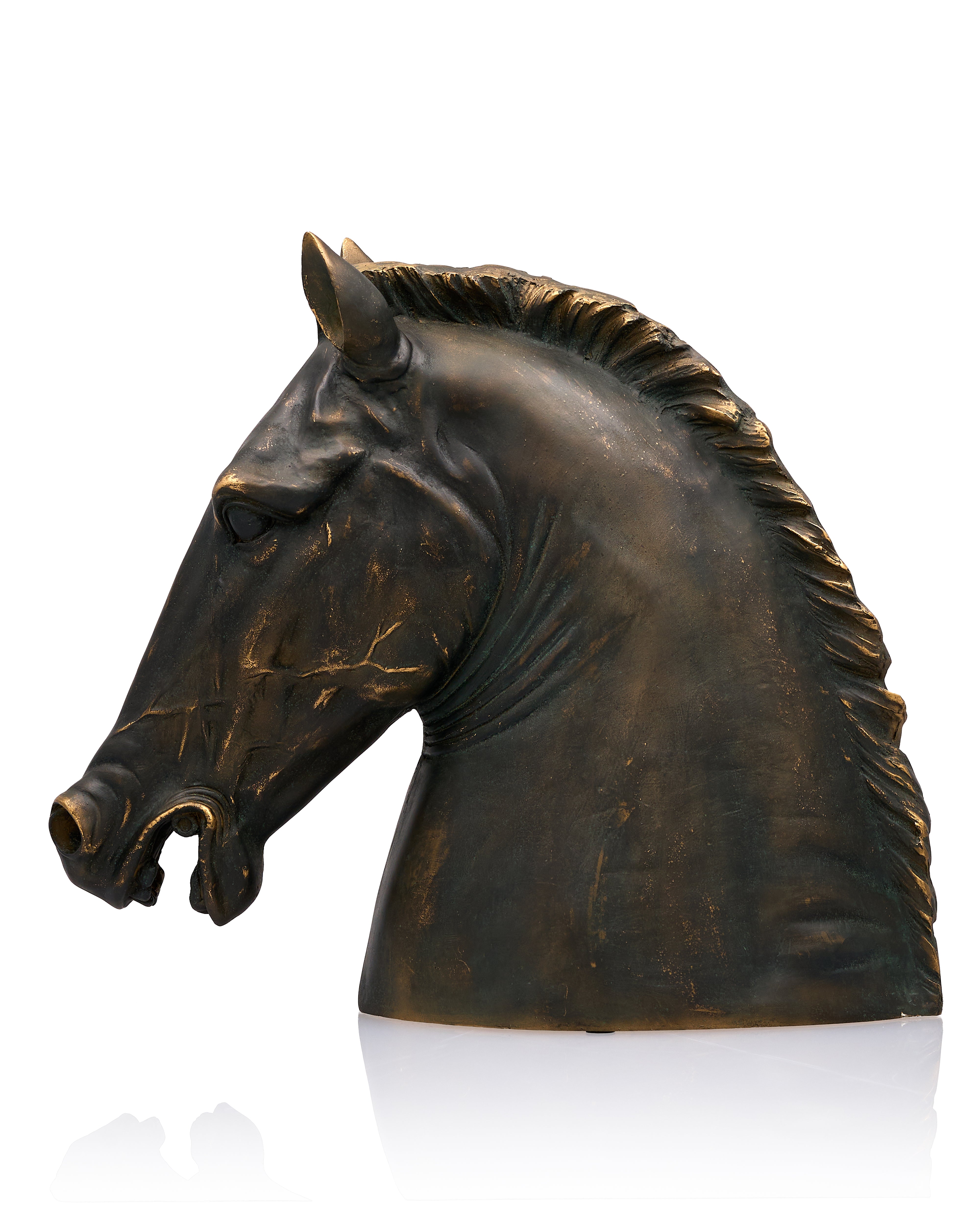 Timber Majesty Horse Head Resin Sculpture