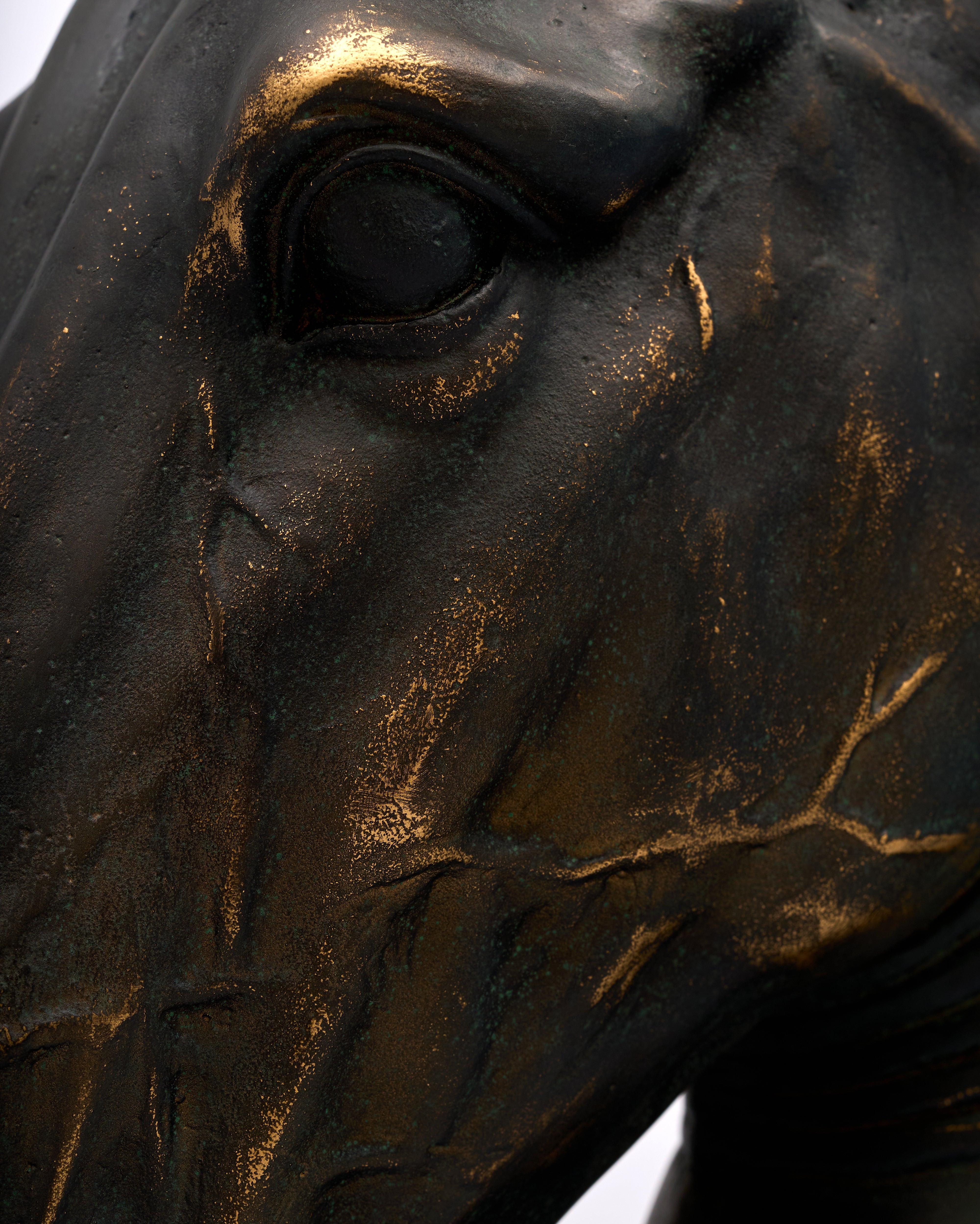 Timber Majesty Horse Head Resin Sculpture