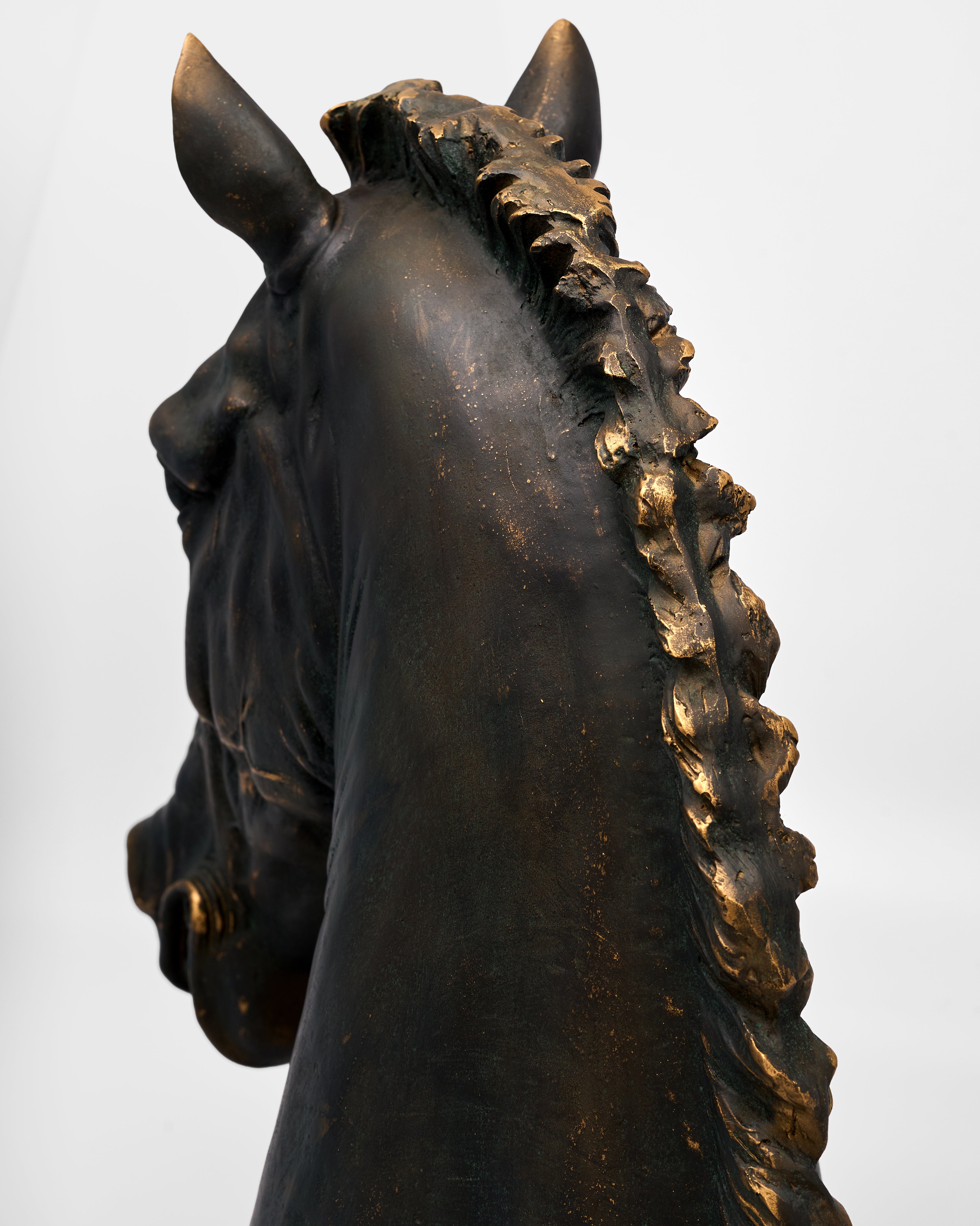 Timber Majesty Horse Head Resin Sculpture