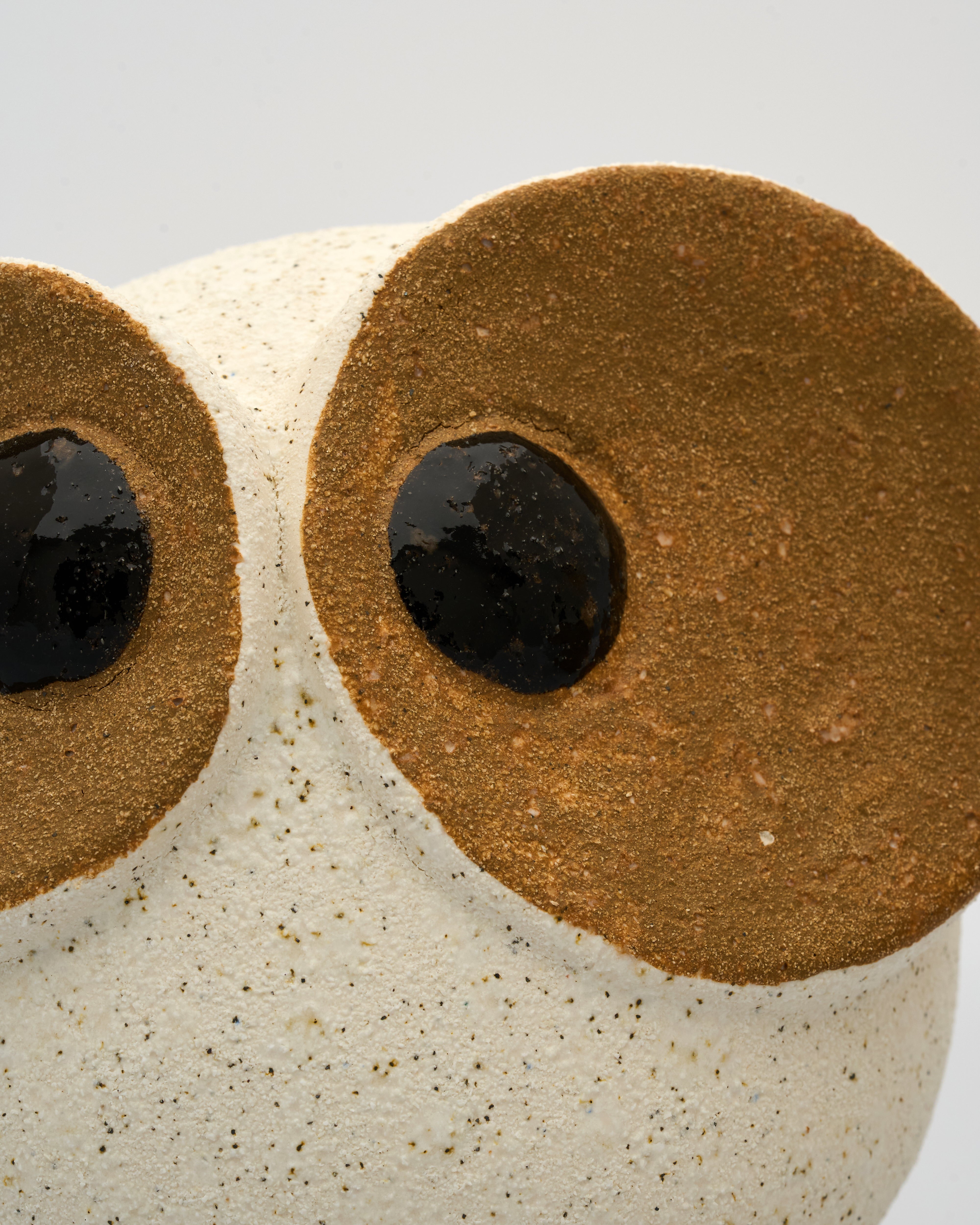 Close-up of a ceramic owl with large brown eyes on a light gray background